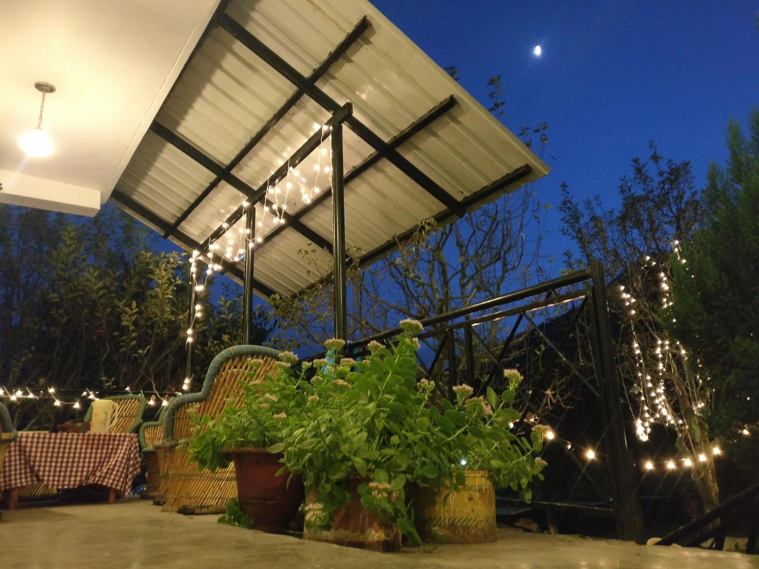 Patio in Madpackers Manali