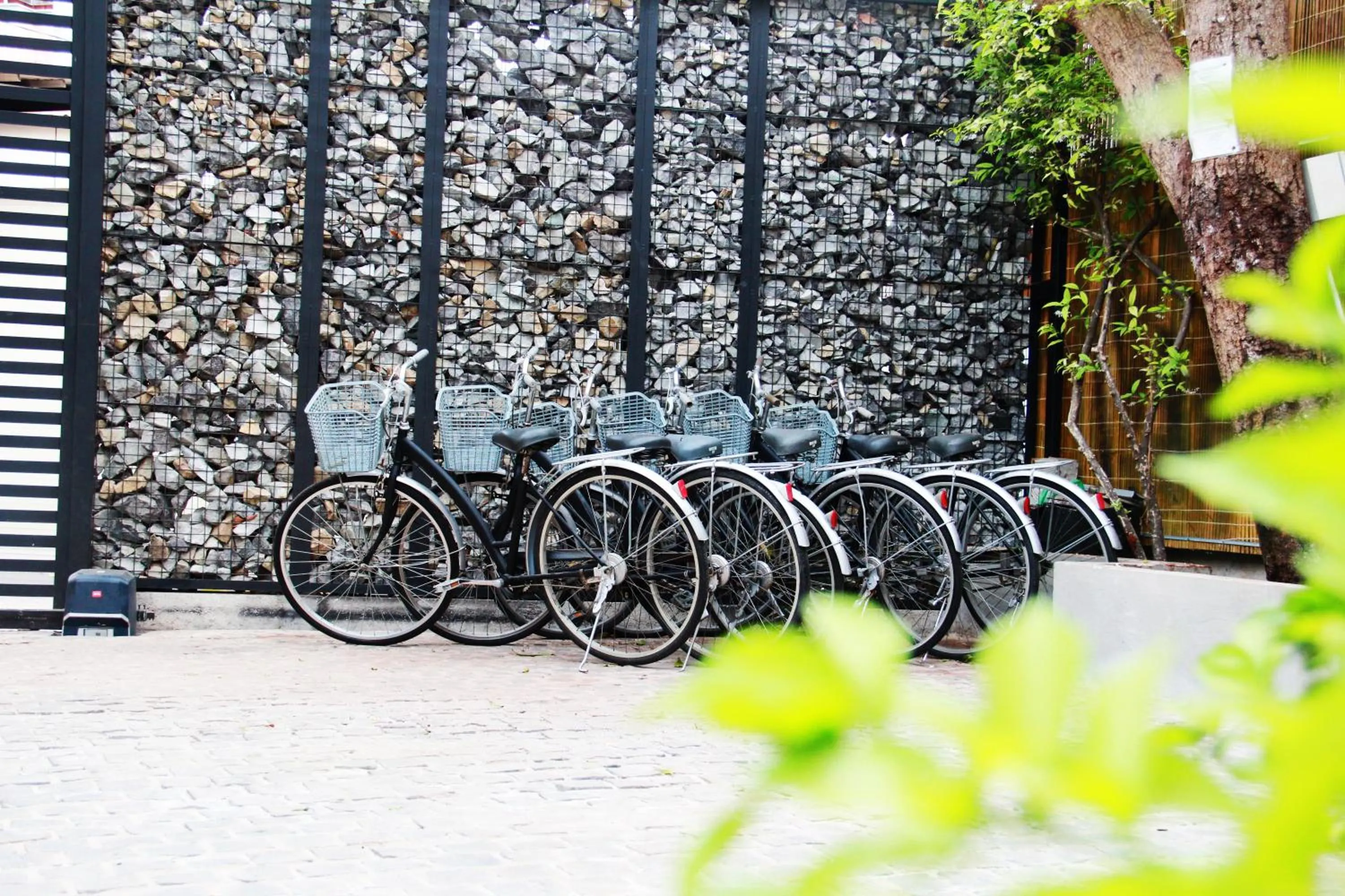 Cycling in Green River Boutique Hotel