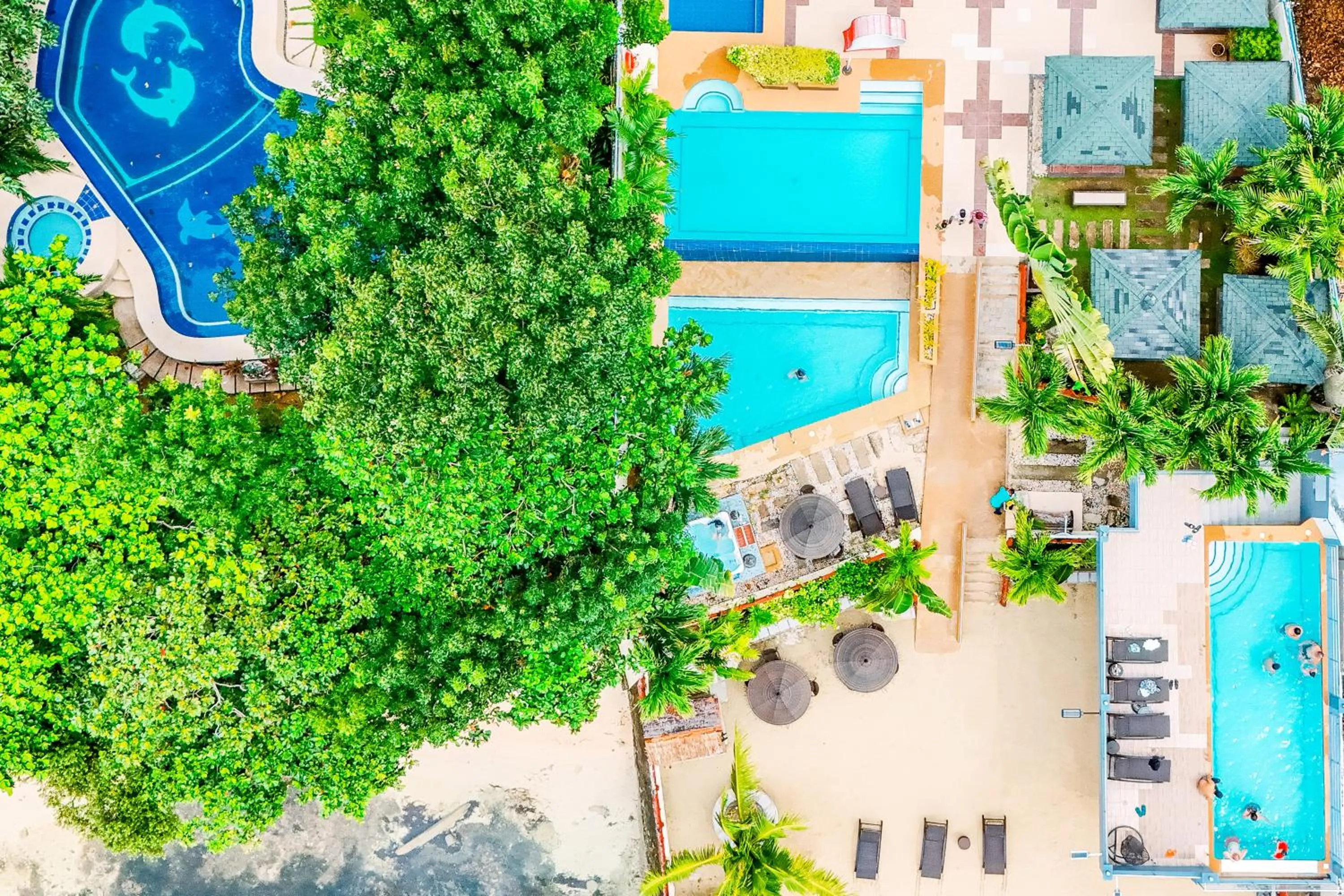 Palmbeach Resort & Spa Mactan, Cebu