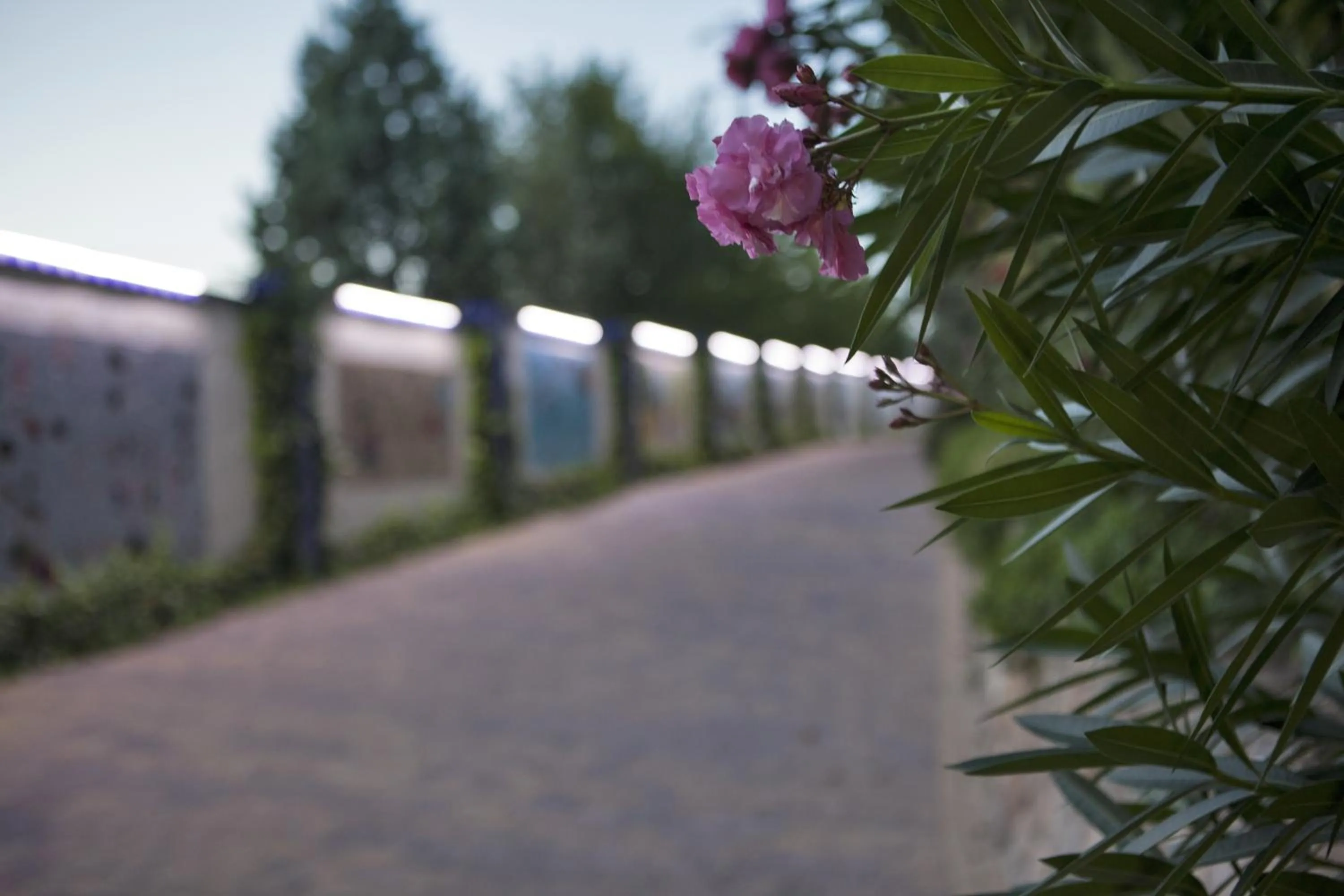 Garden in Hotel Balneario de la Concepción