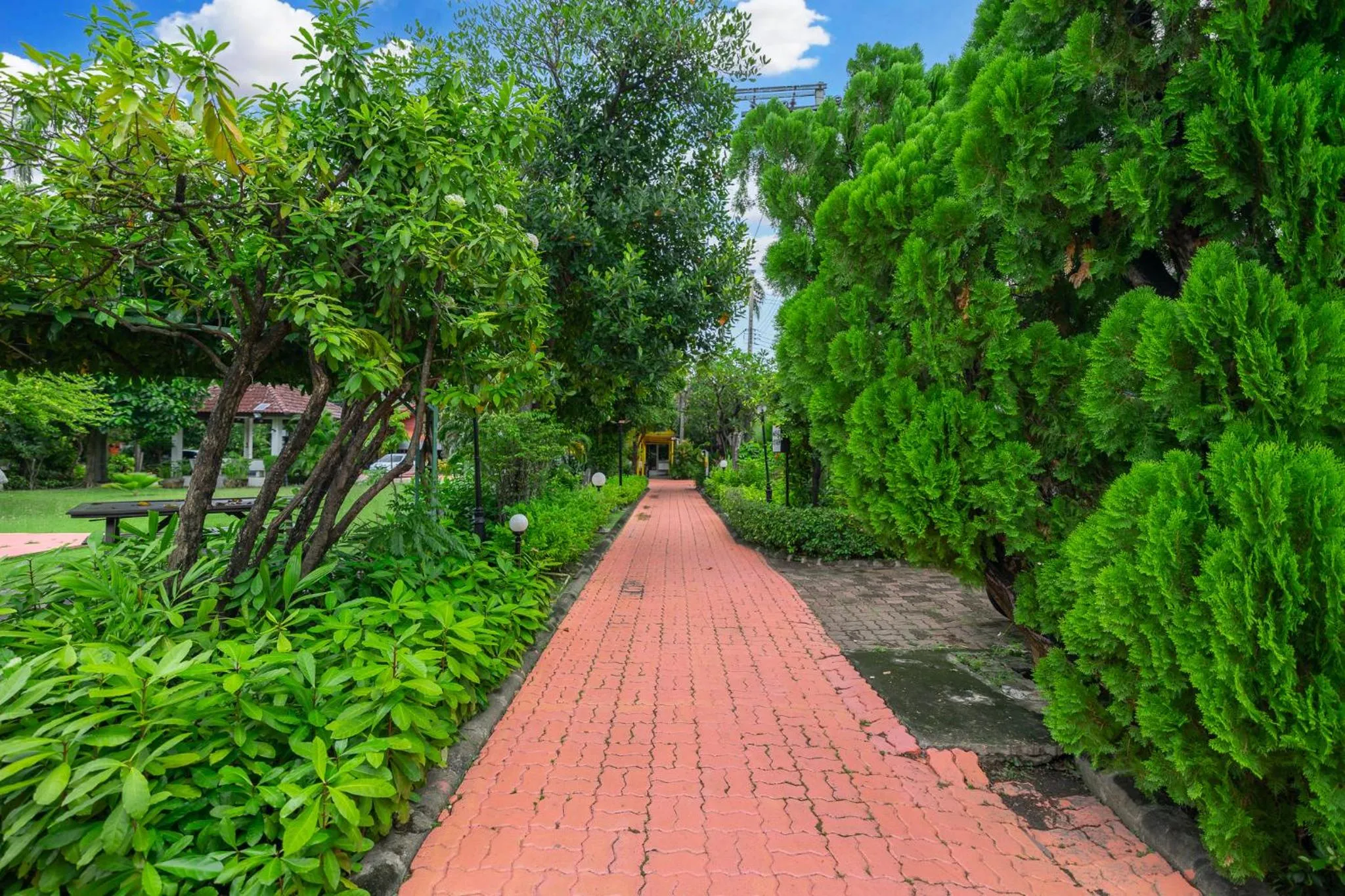 Garden in Bangkok Rama Hotel