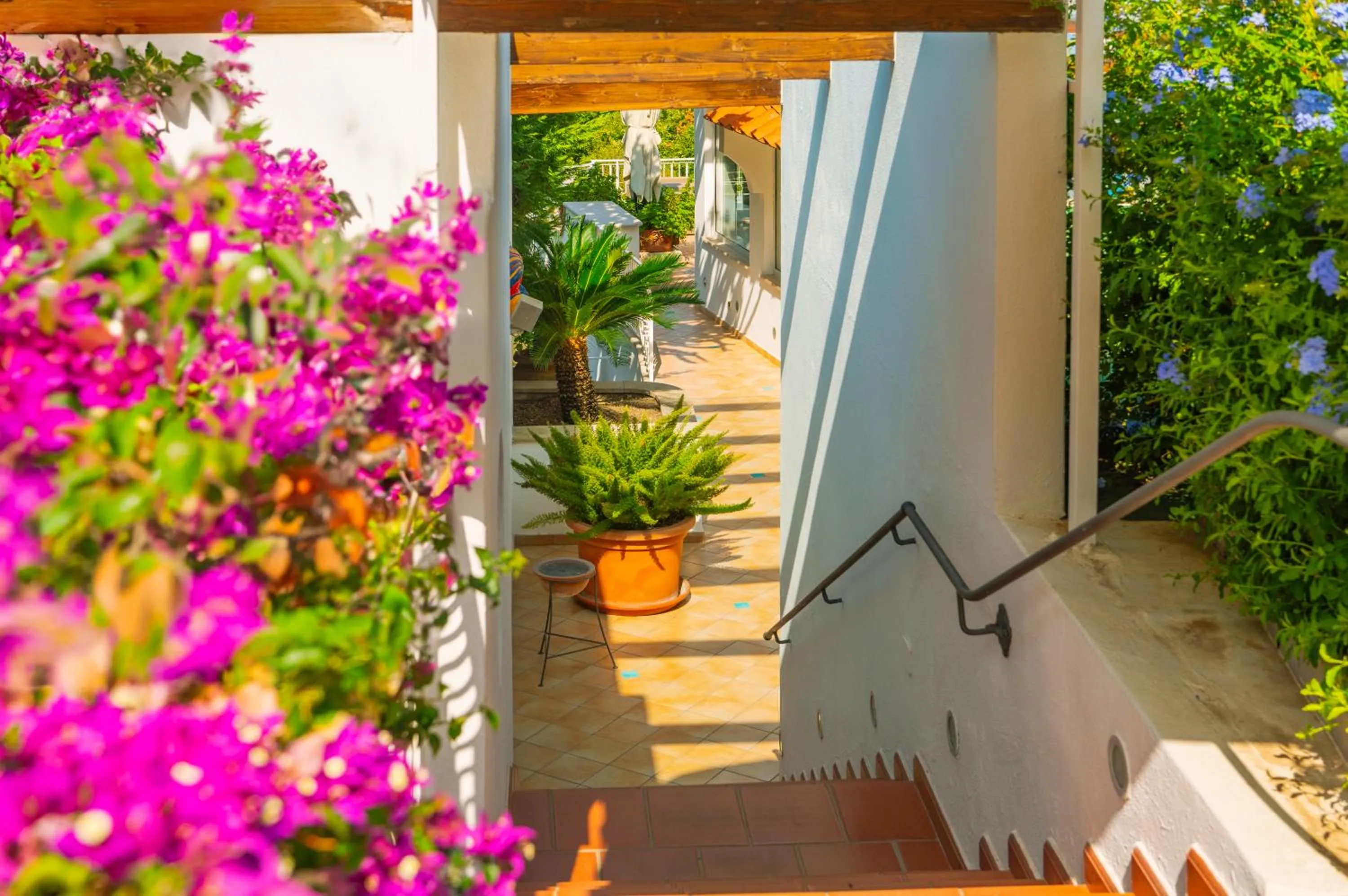 Property building in Poggio Aragosta Hotel & Spa