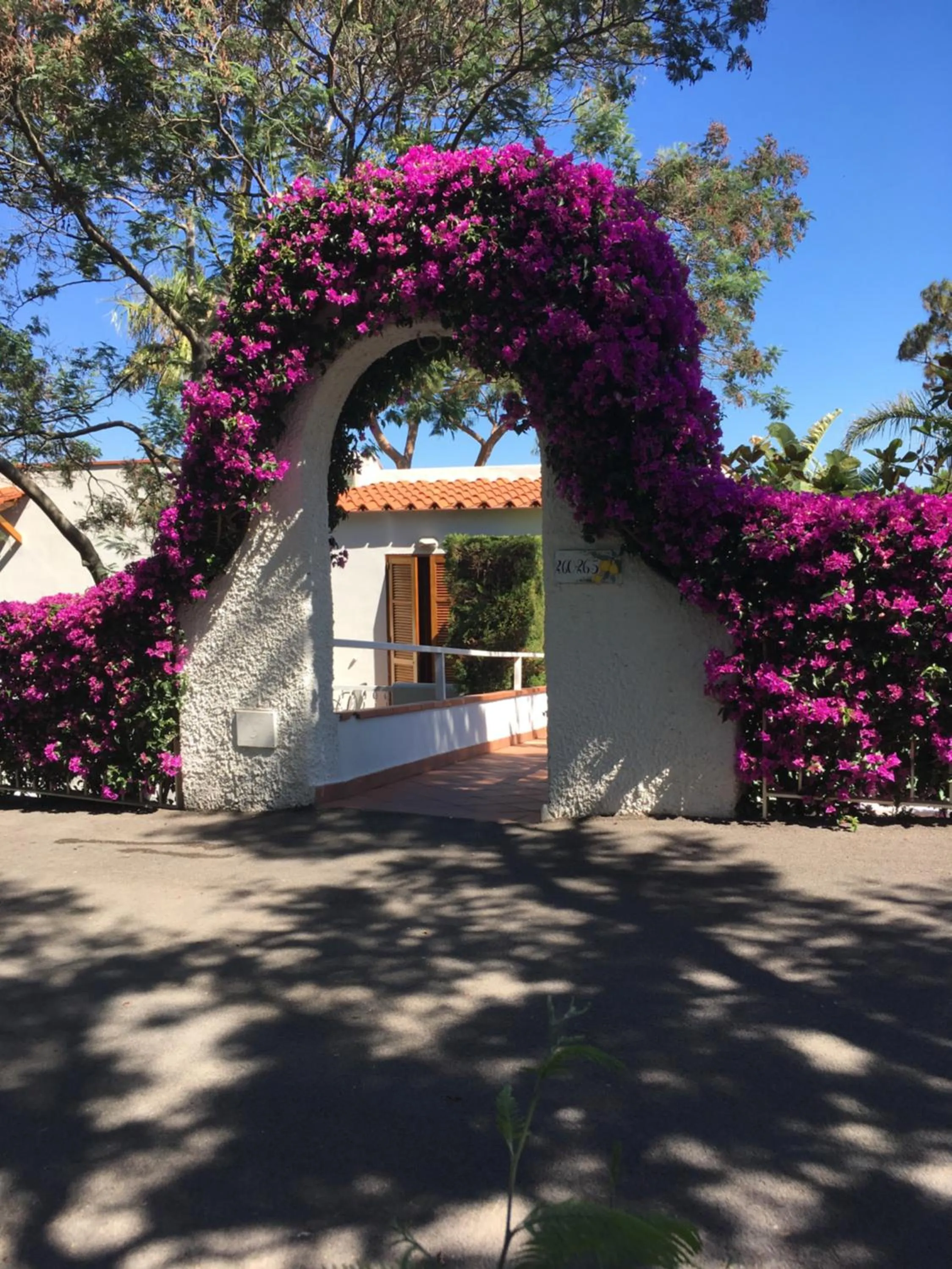 Garden in Poggio Aragosta Hotel & Spa