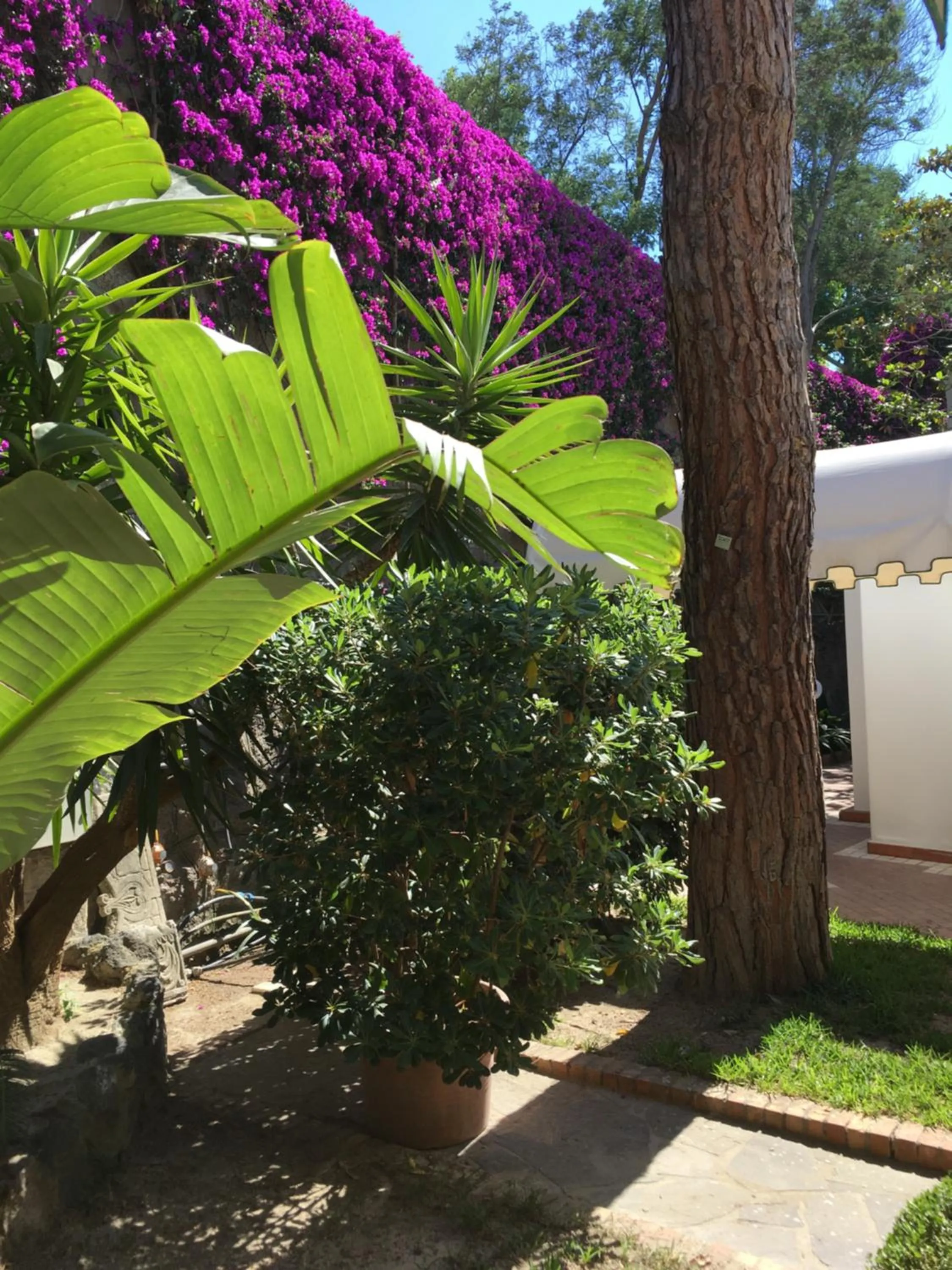 Garden in Poggio Aragosta Hotel & Spa