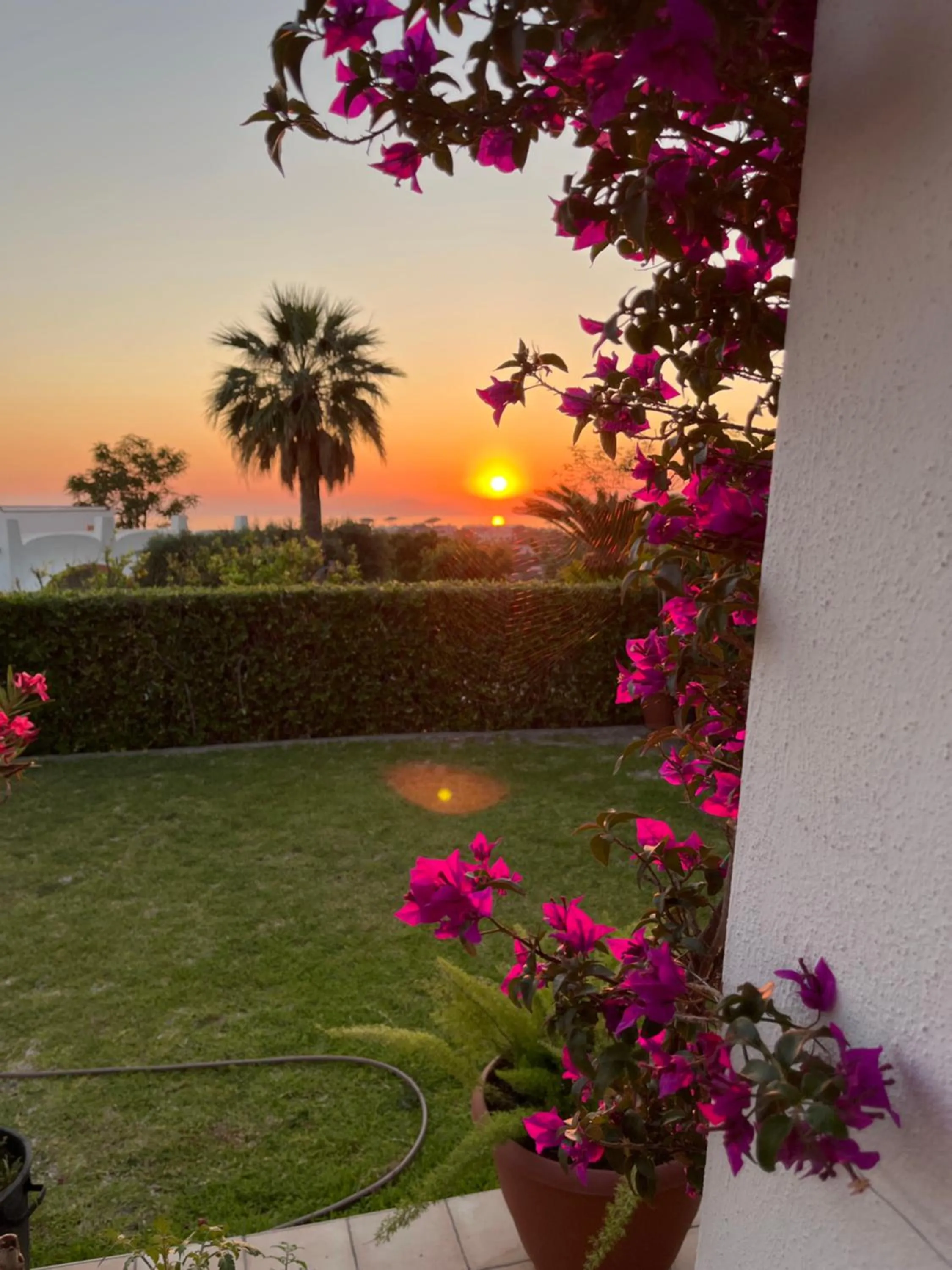 Natural landscape in Poggio Aragosta Hotel & Spa