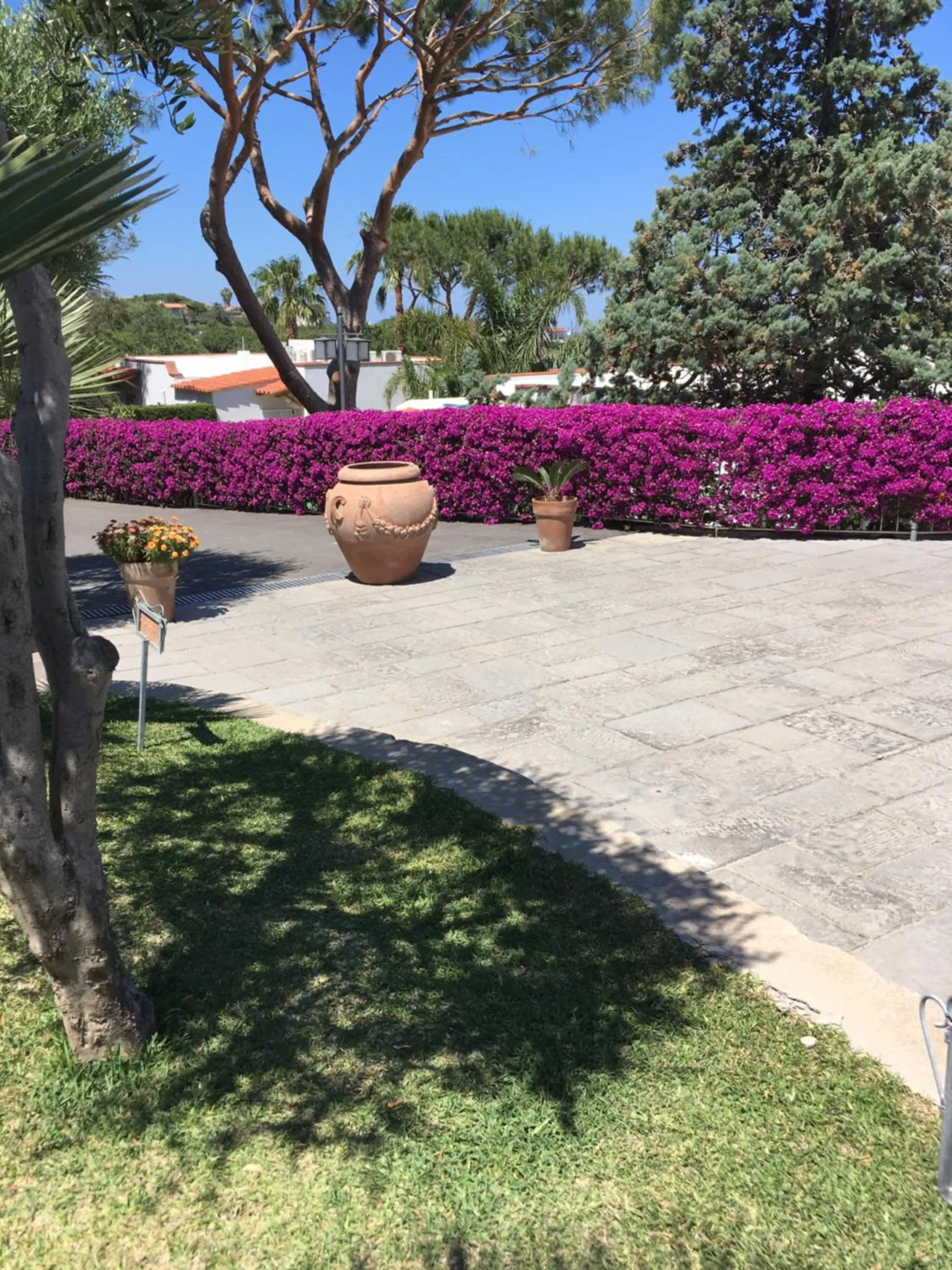 Garden in Poggio Aragosta Hotel & Spa