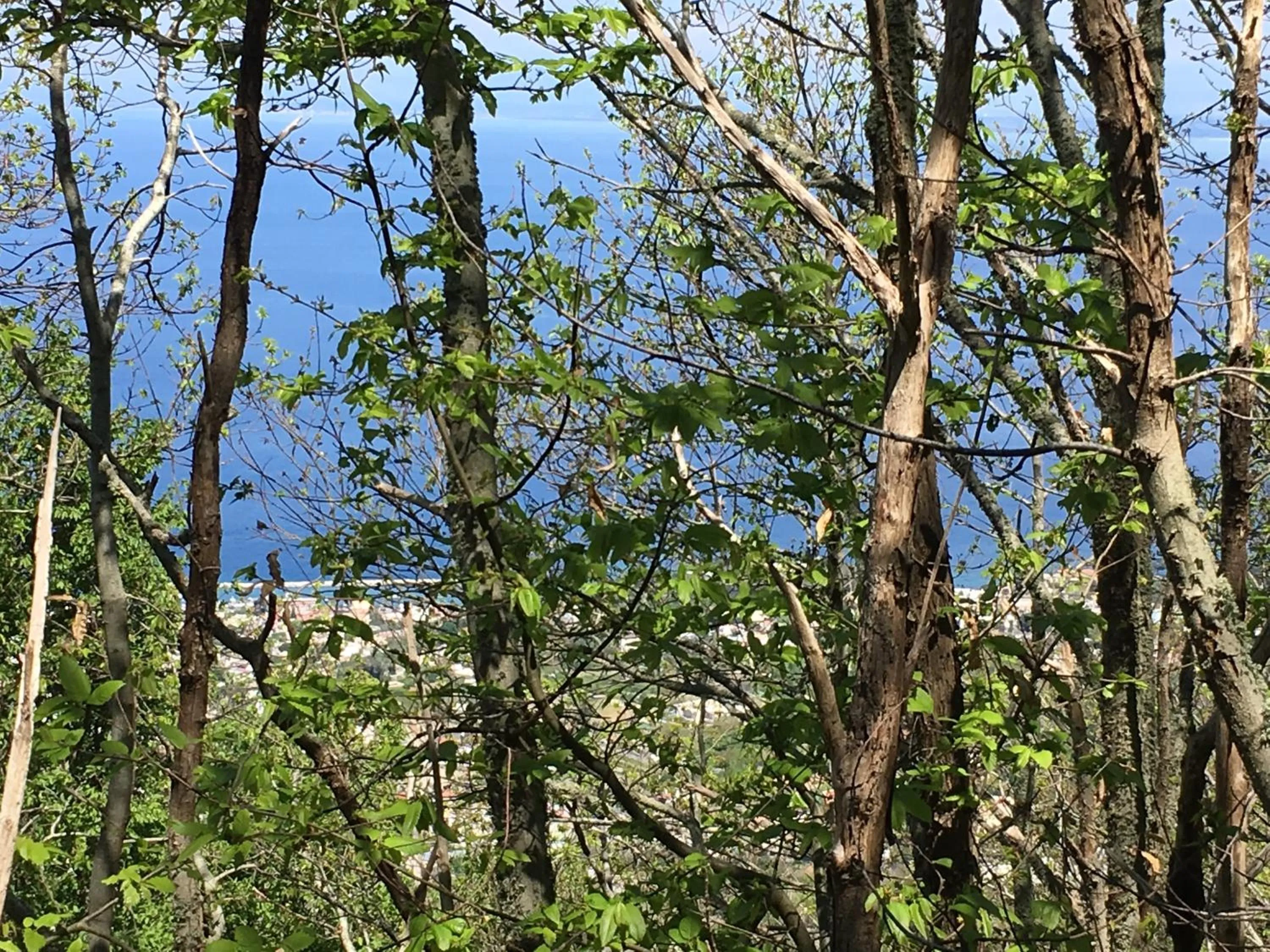 Hiking in Poggio Aragosta Hotel & Spa