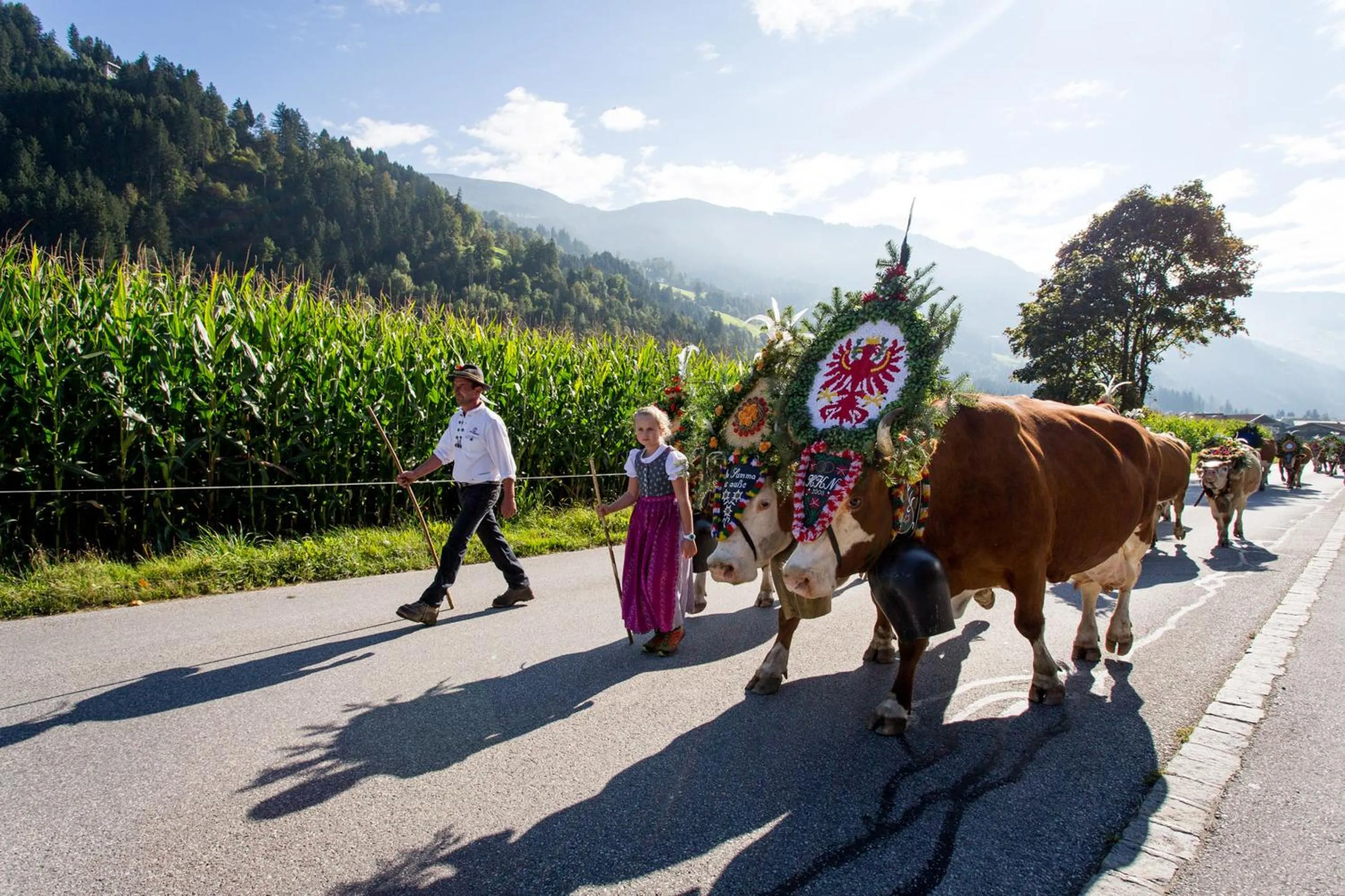 Animals in Hotel-Garni Almhof
