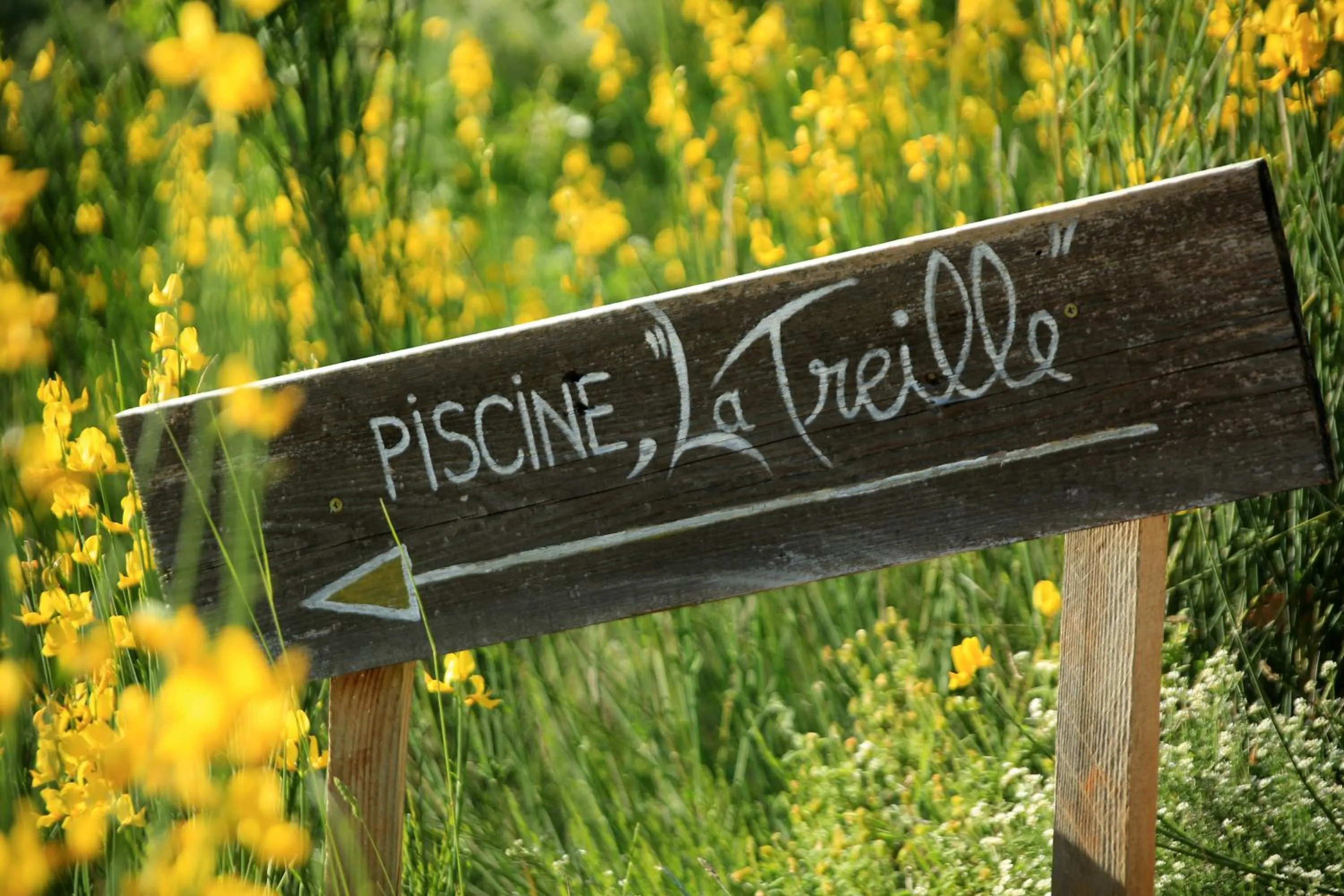 Pool view in La Colline des Ocres Village de vacances 3 étoiles