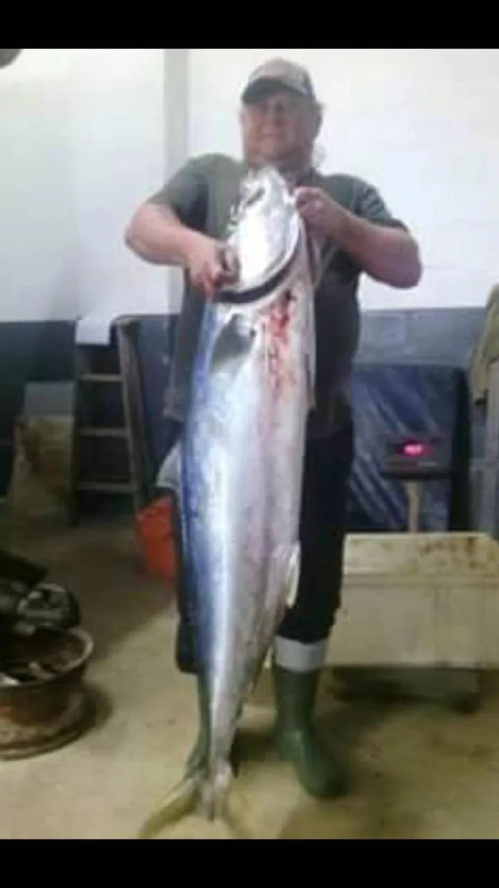 Old Cape Last Trading Post