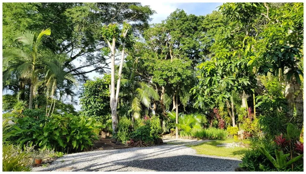 Garden in Baan Sakuna Hotel