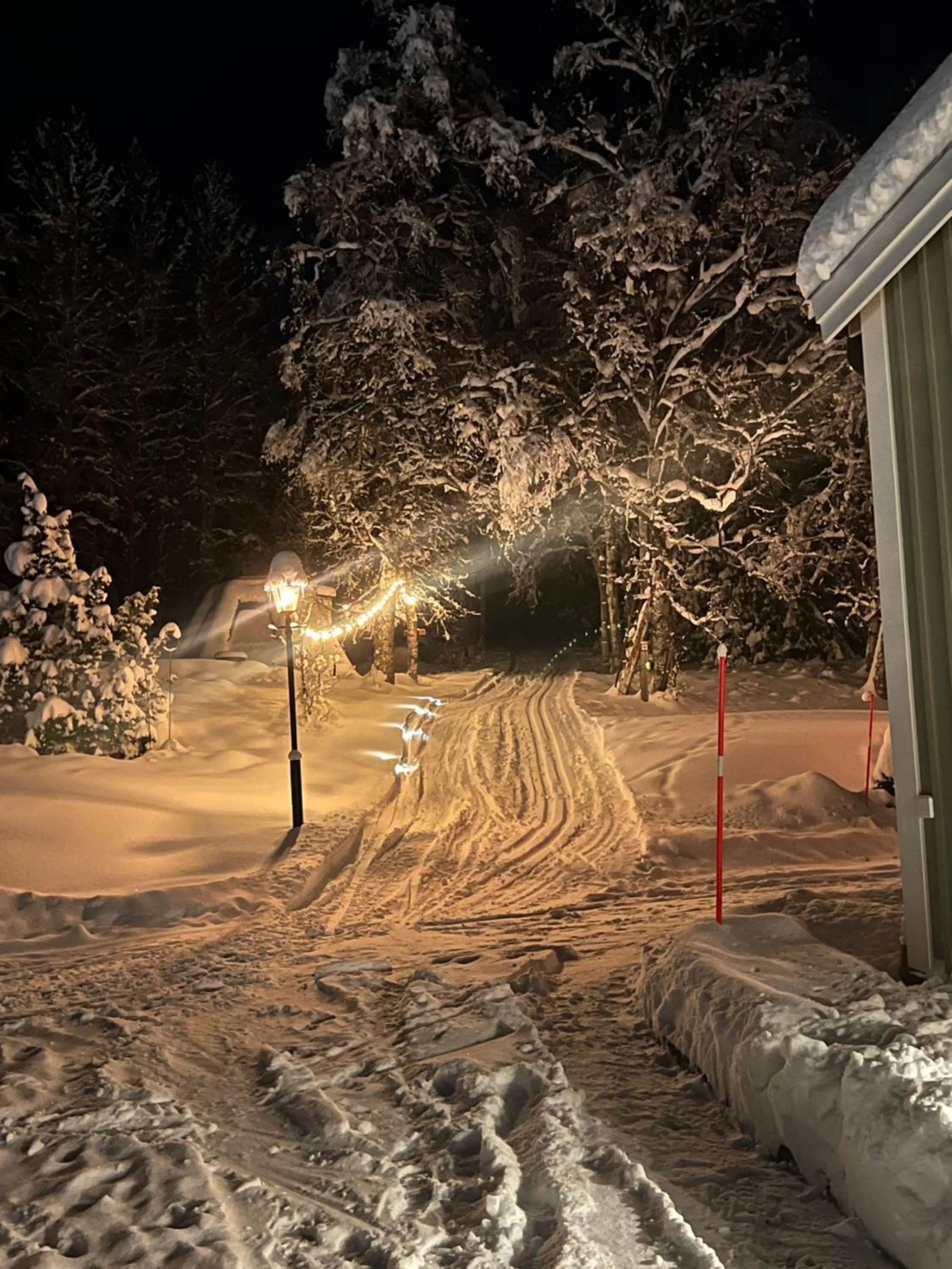 Activities in Hotell Åre Fjällsätra