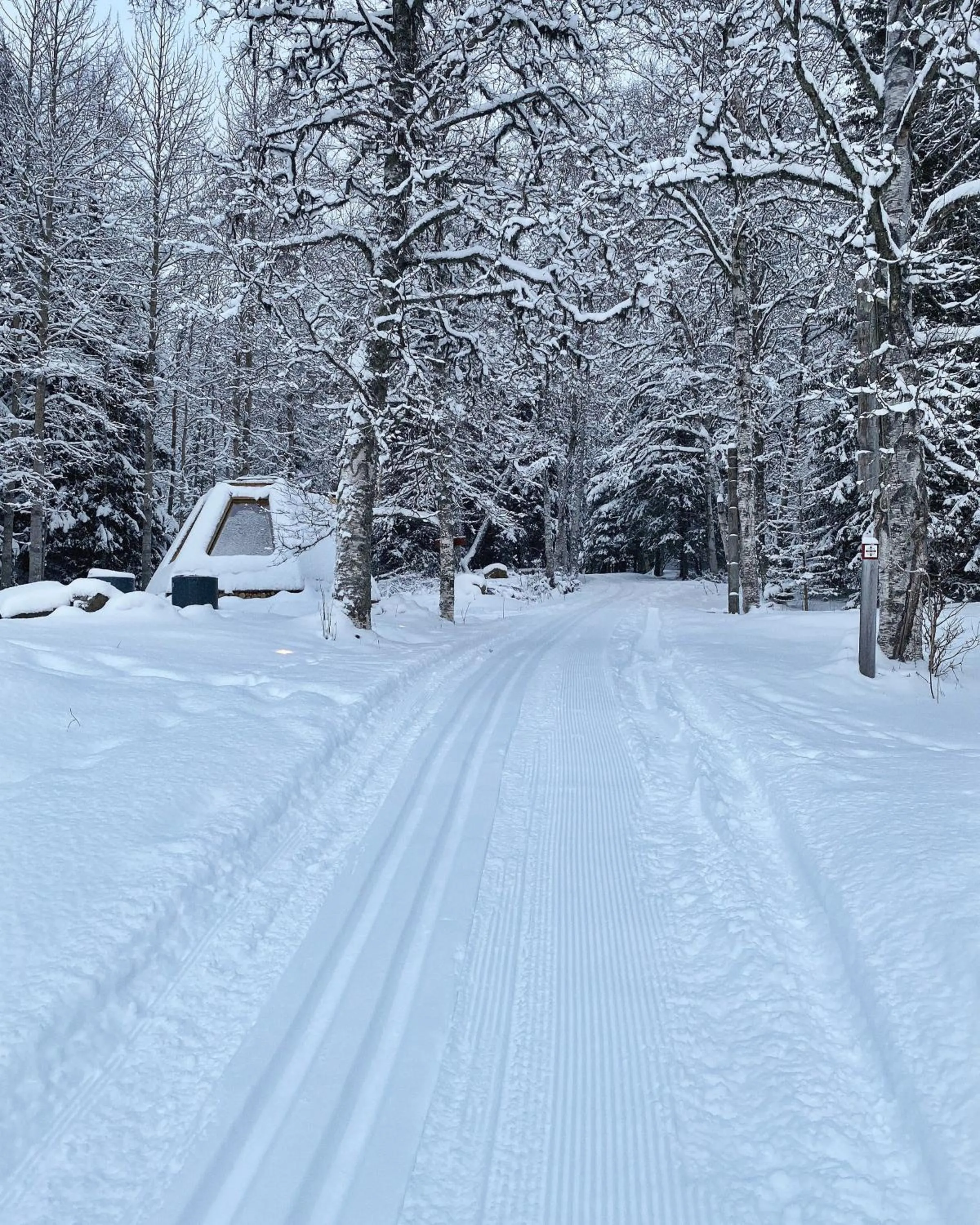 Garden in Hotell Åre Fjällsätra