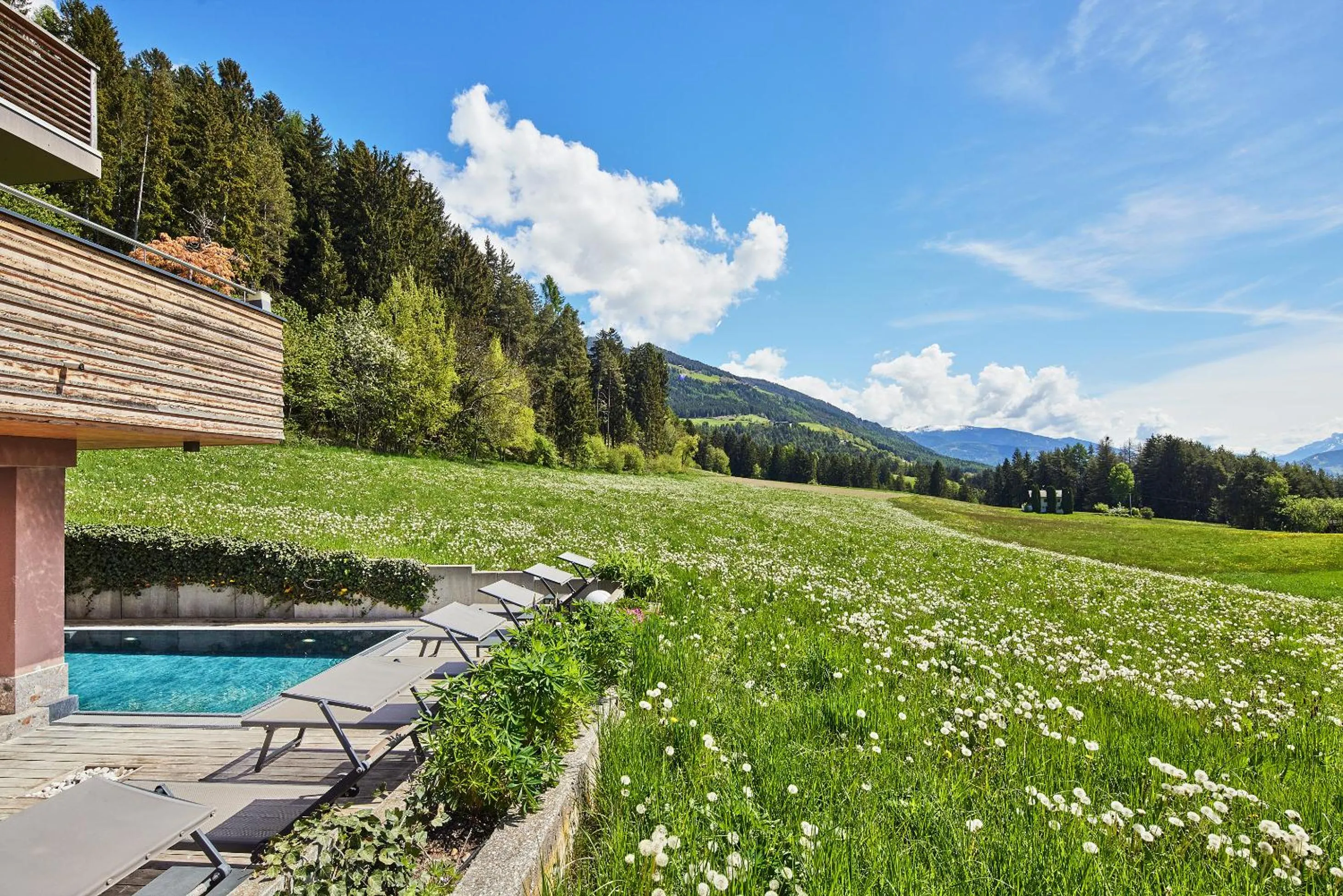 Pool view in Naturhotel Die Waldruhe GmbH