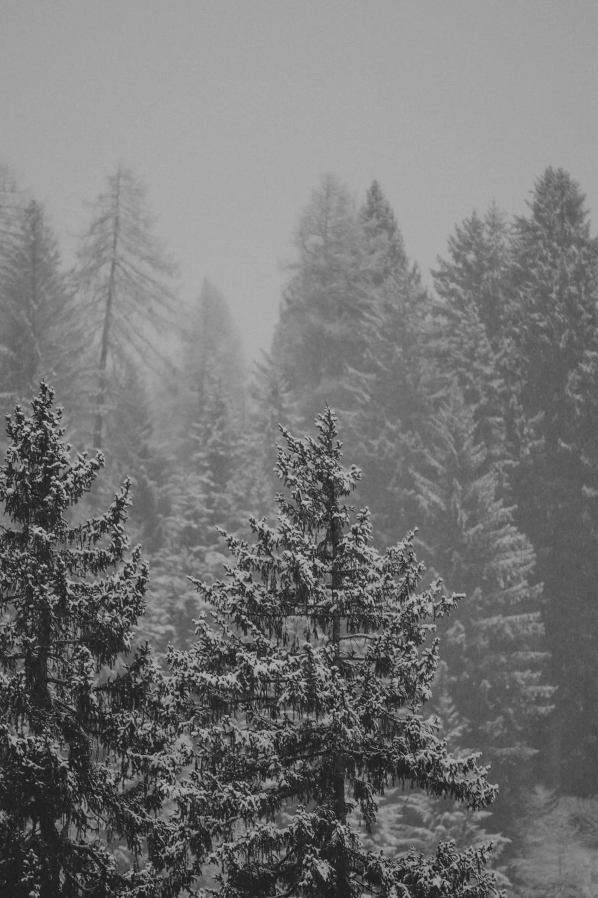 Natural landscape in Smart Hotel Renzi