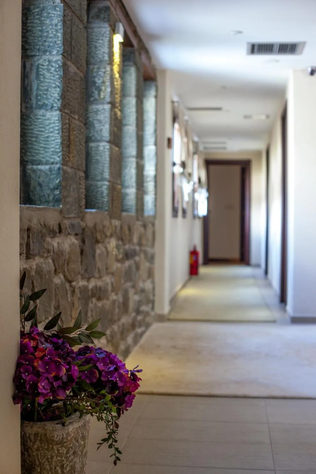 Property building in Anavasi Mountain Resort