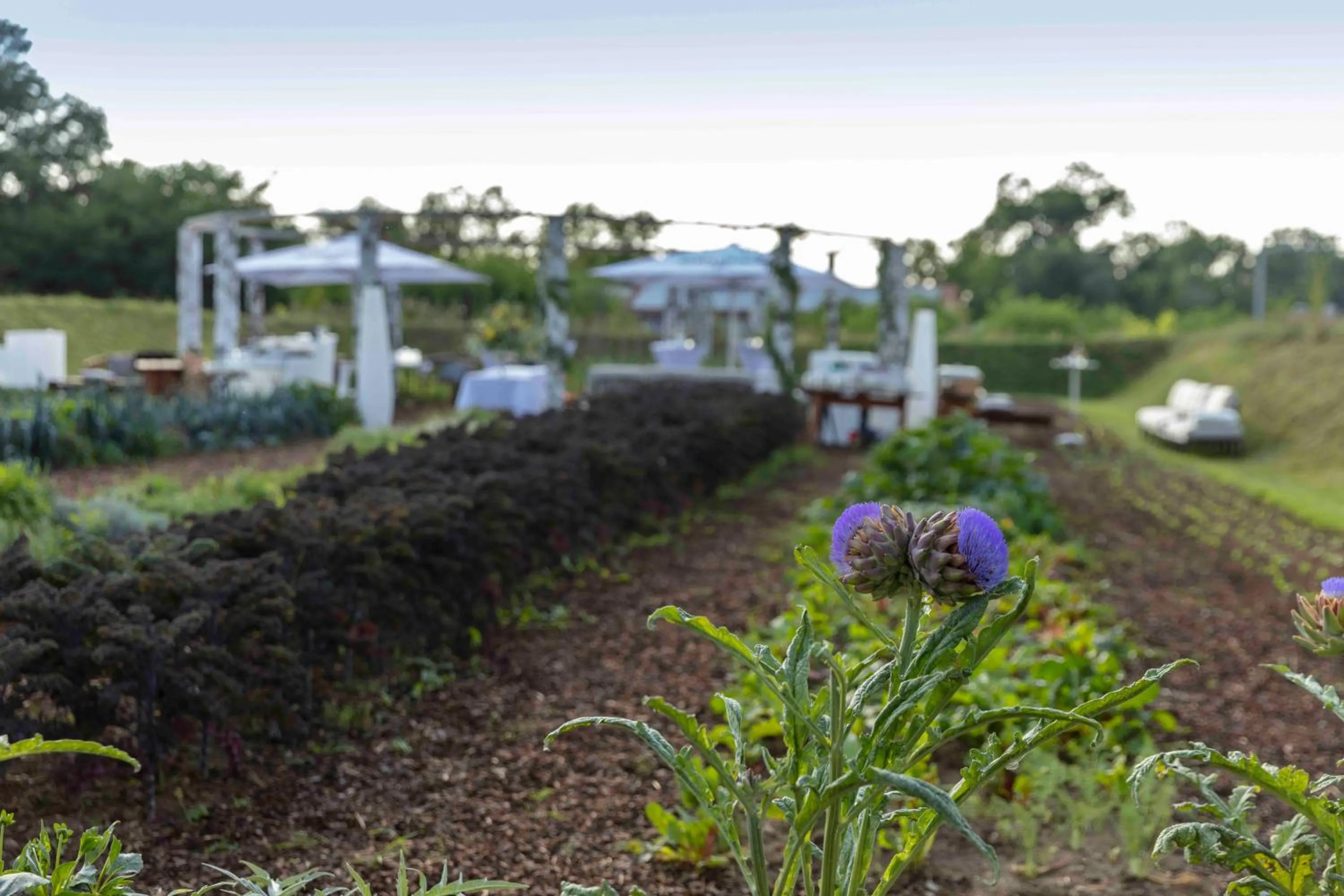 Garden view in 2ND HOME HOTEL