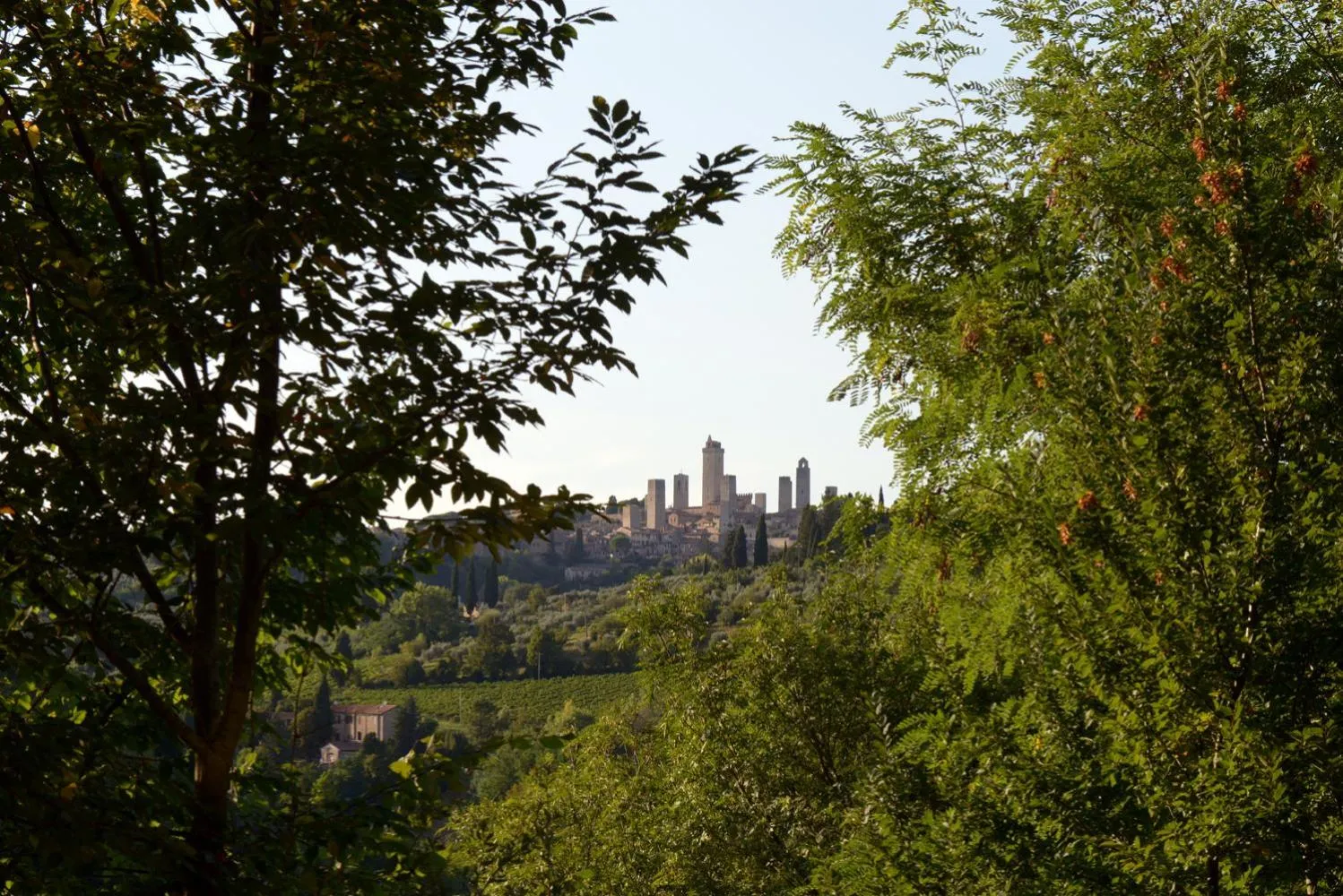 View (from property/room) in Camping Il Boschetto Di Piemma