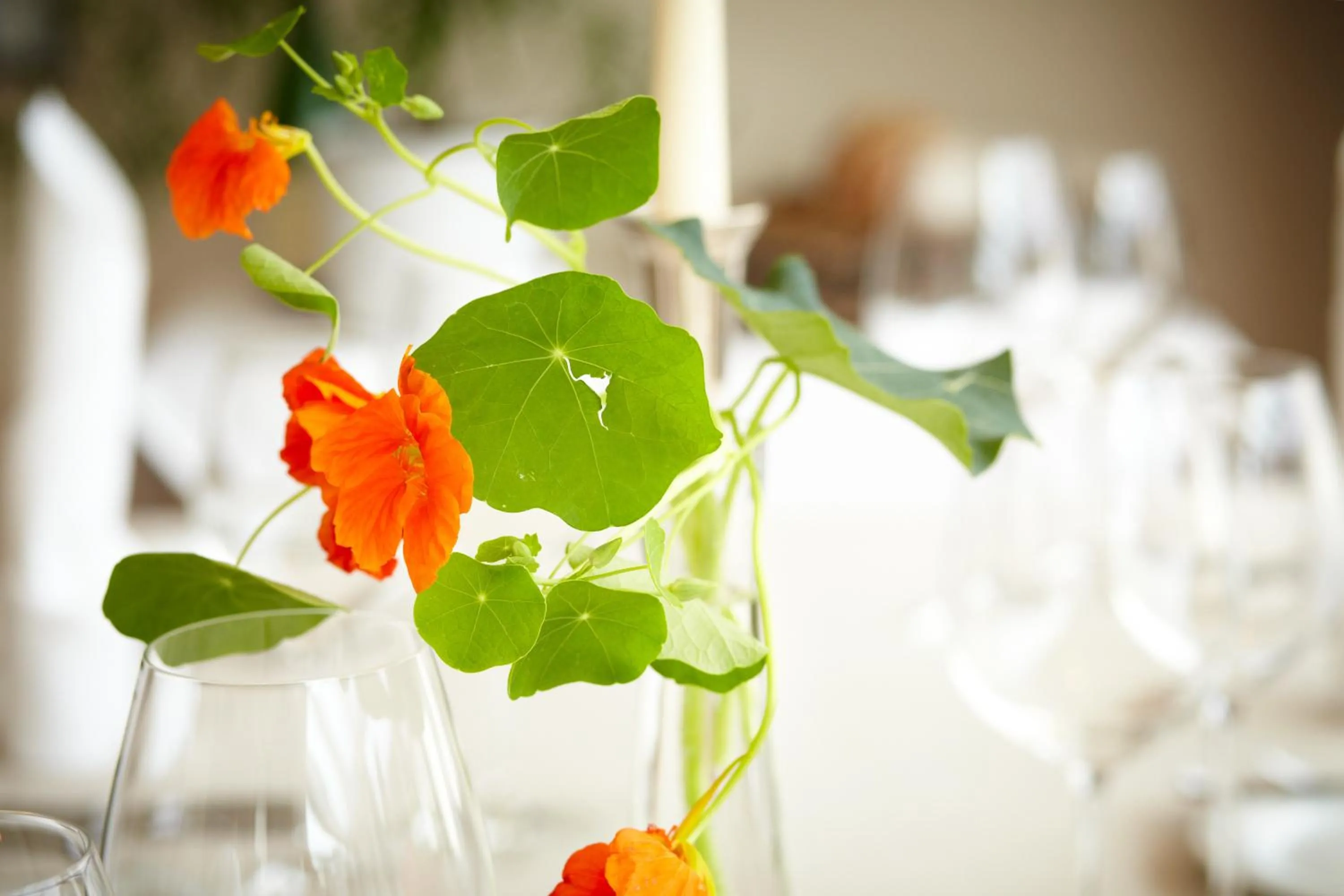 Restaurant/places to eat in Müllers Landhotel