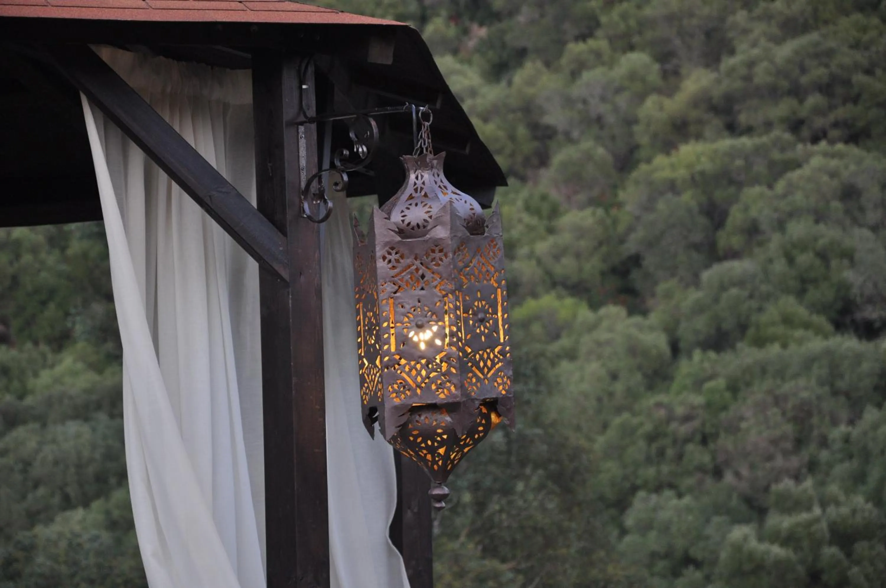 Other in Hotel El Paso