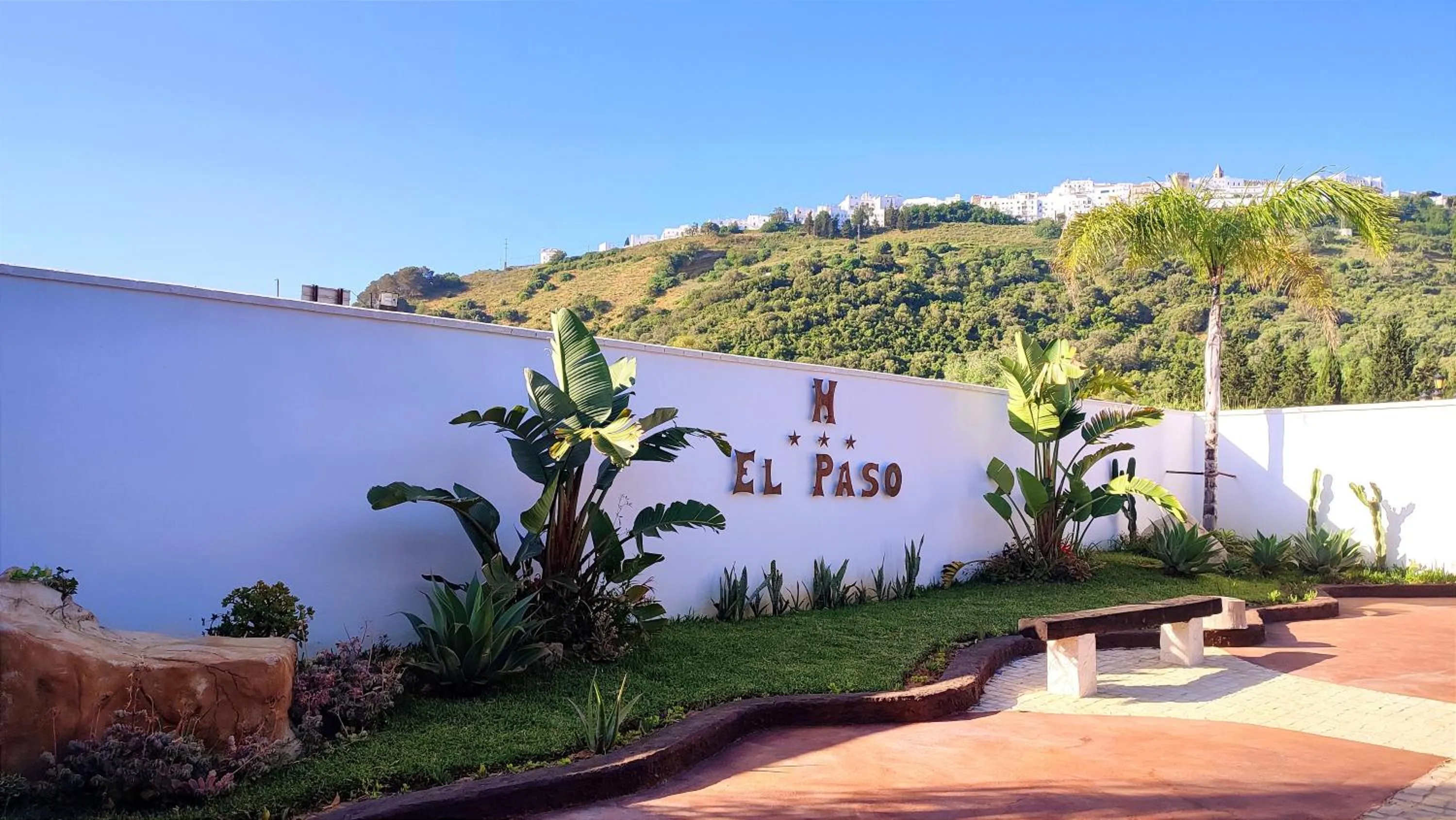 Garden in Hotel El Paso