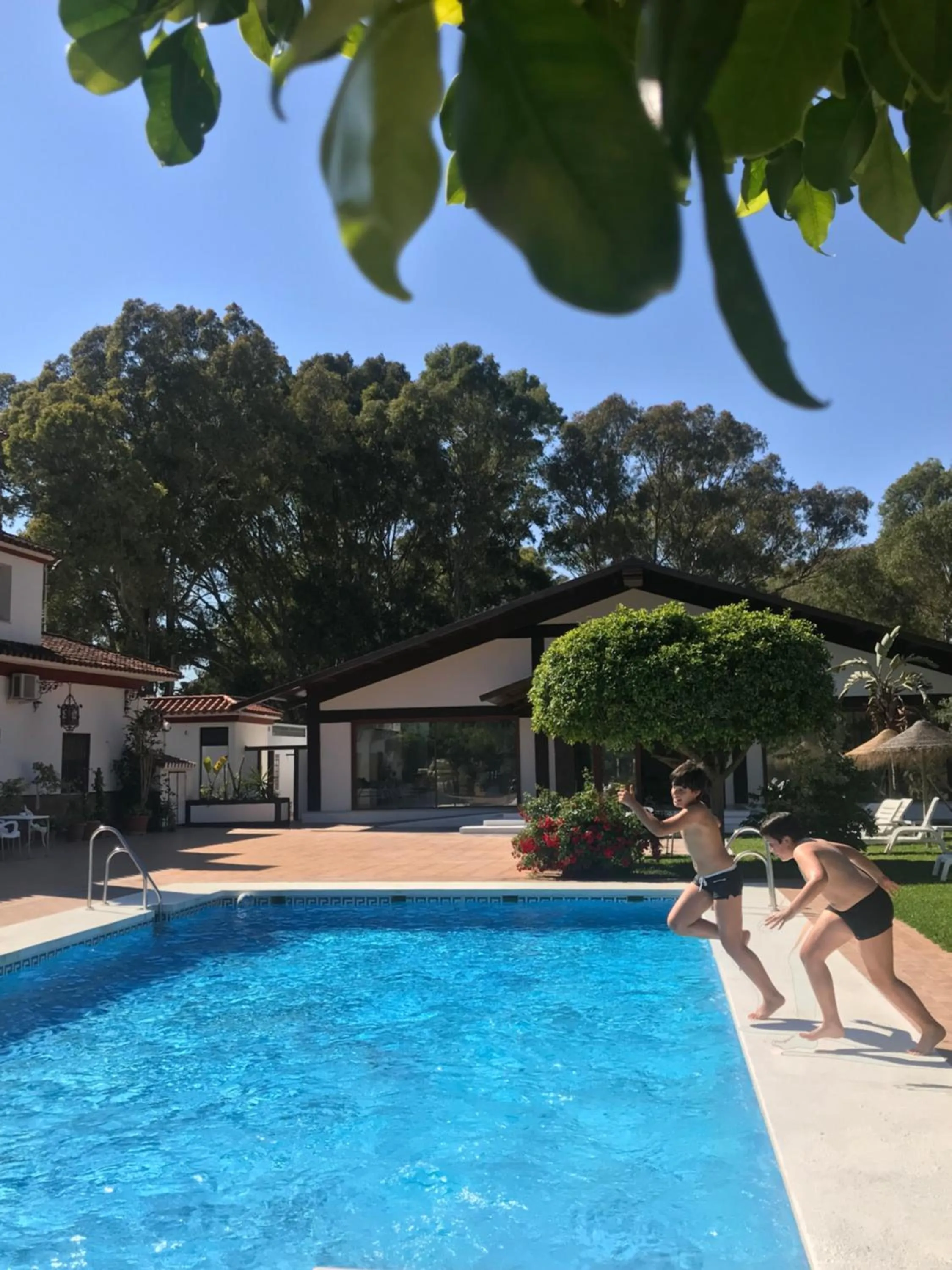 Swimming pool in Hotel El Paso
