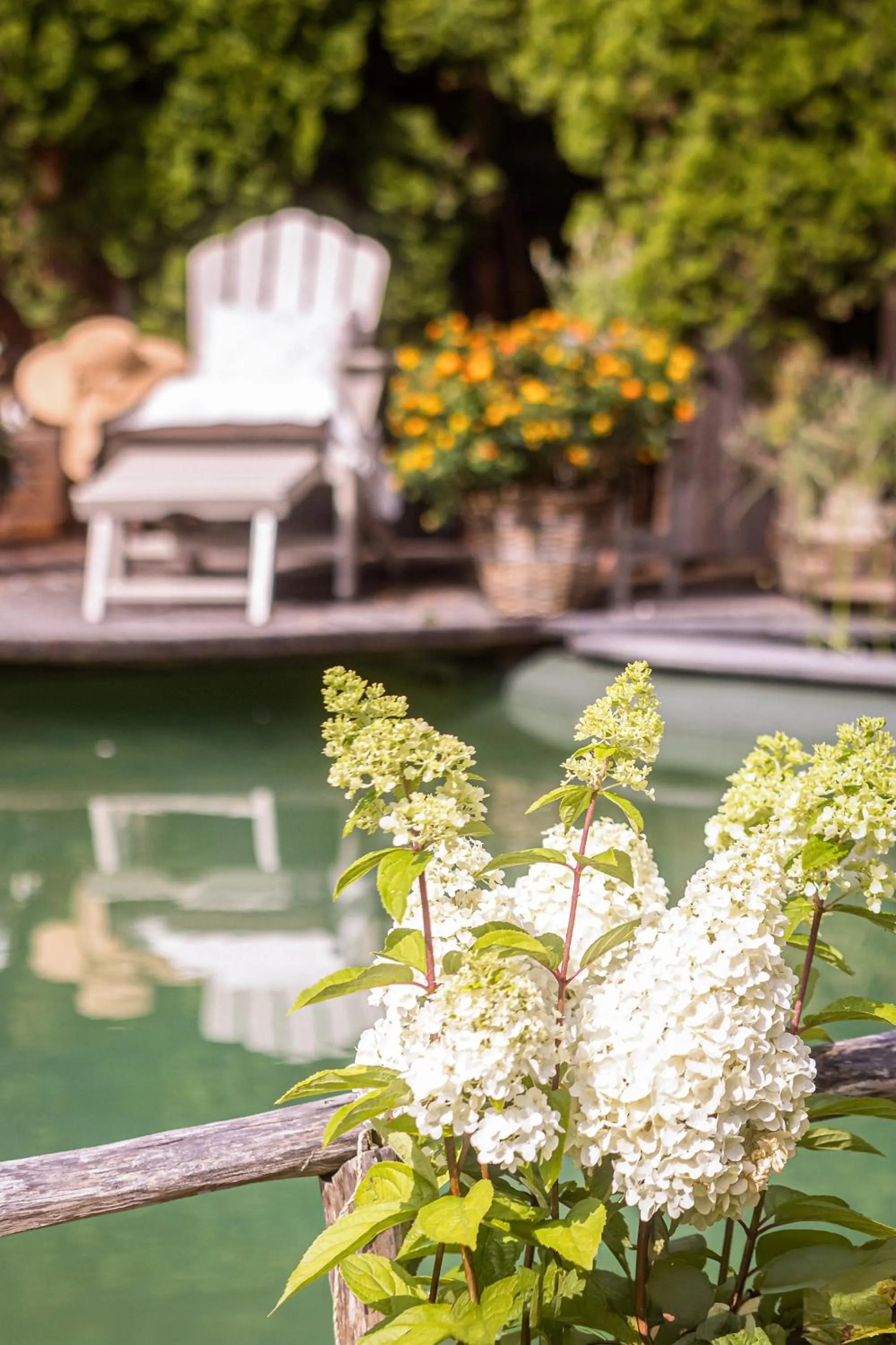 Spa and wellness centre/facilities in Weißt Du noch - Gästehäuser & Suiten