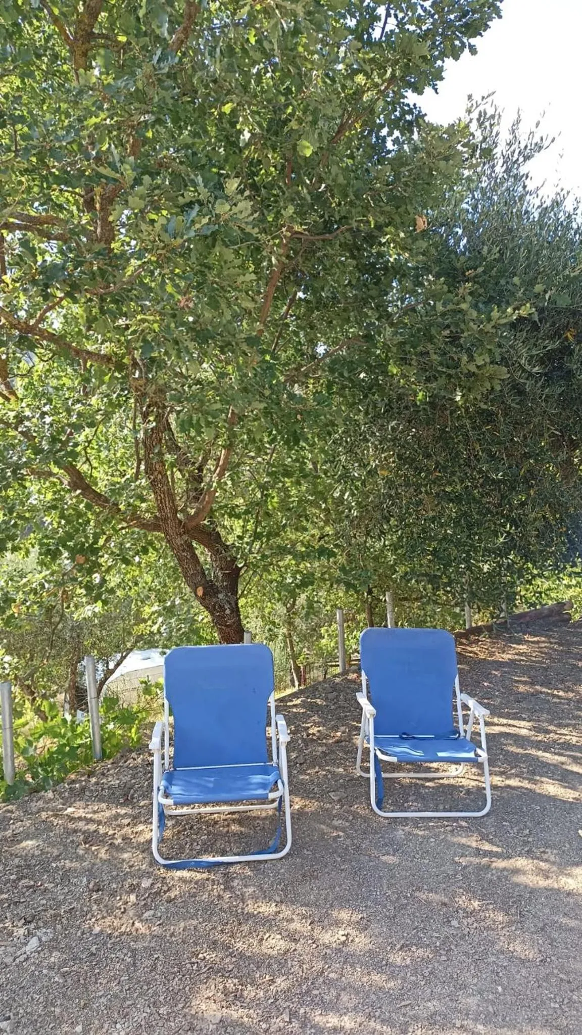 Garden in B&B Lavanda e Rosmarino