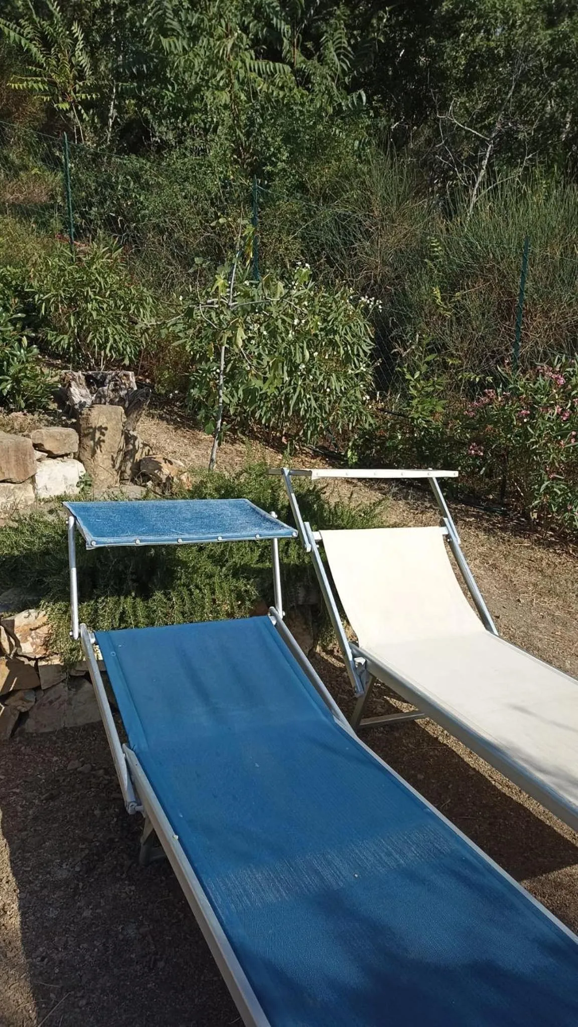 Swimming pool in B&B Lavanda e Rosmarino