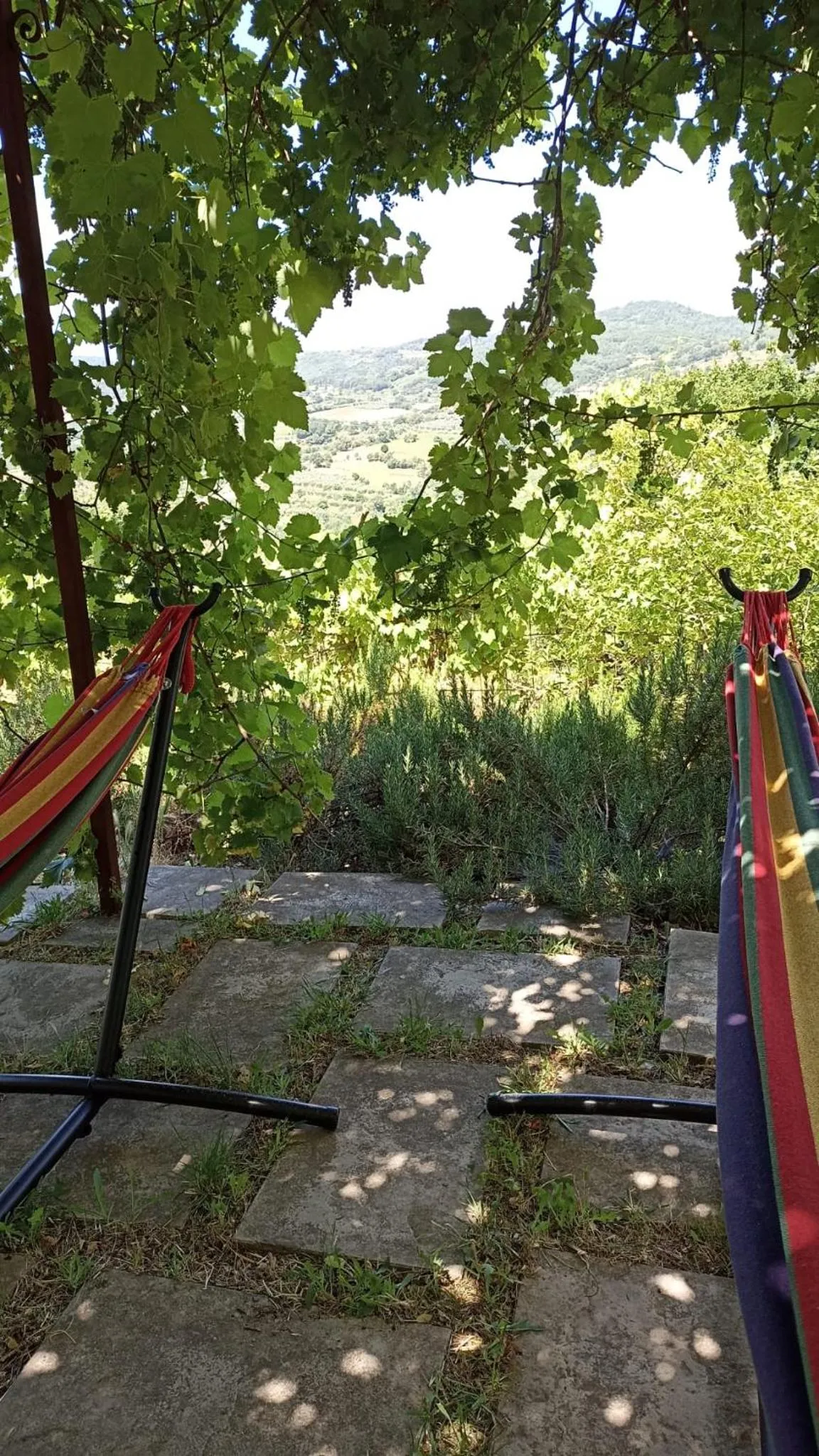 Natural landscape in B&B Lavanda e Rosmarino