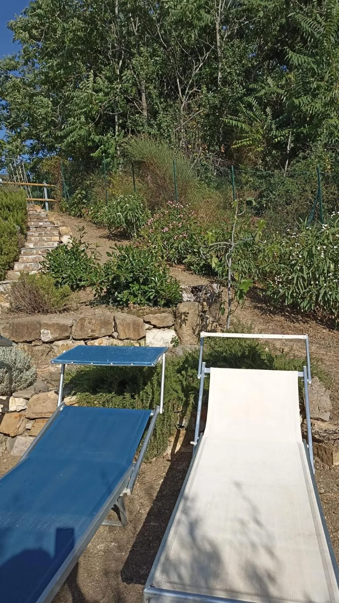 Swimming pool in B&B Lavanda e Rosmarino
