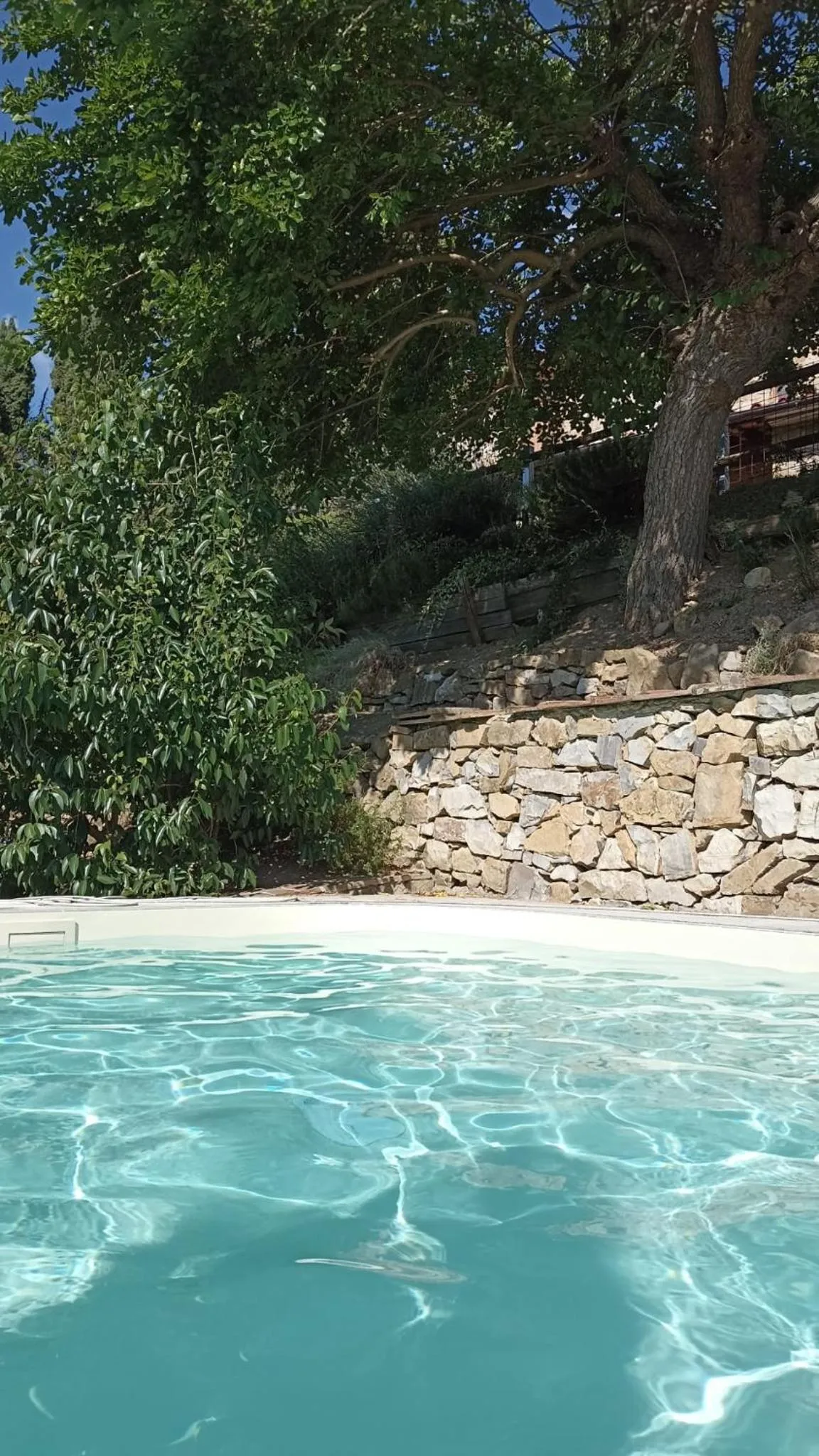 Swimming pool in B&B Lavanda e Rosmarino