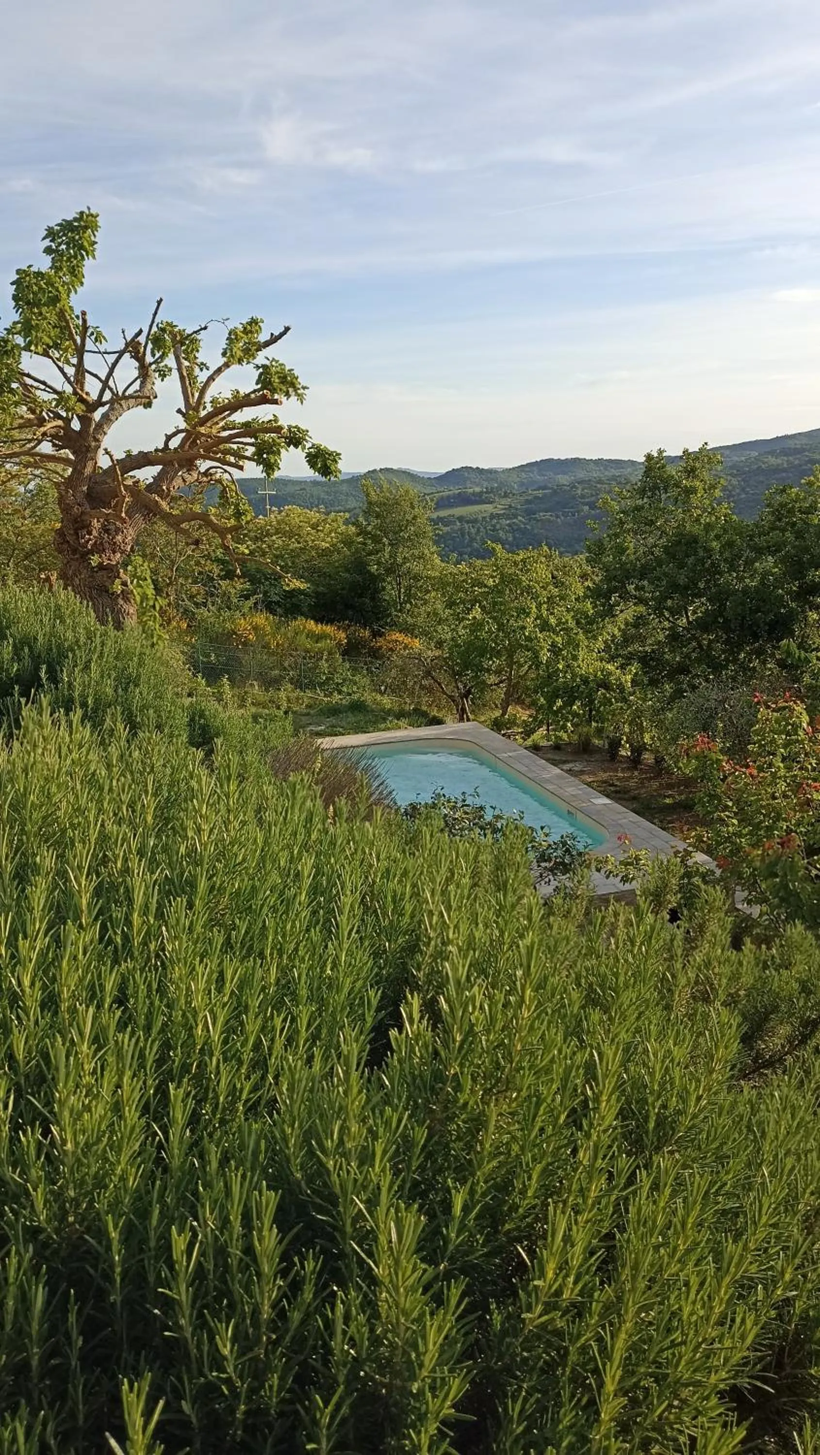 Natural landscape in B&B Lavanda e Rosmarino