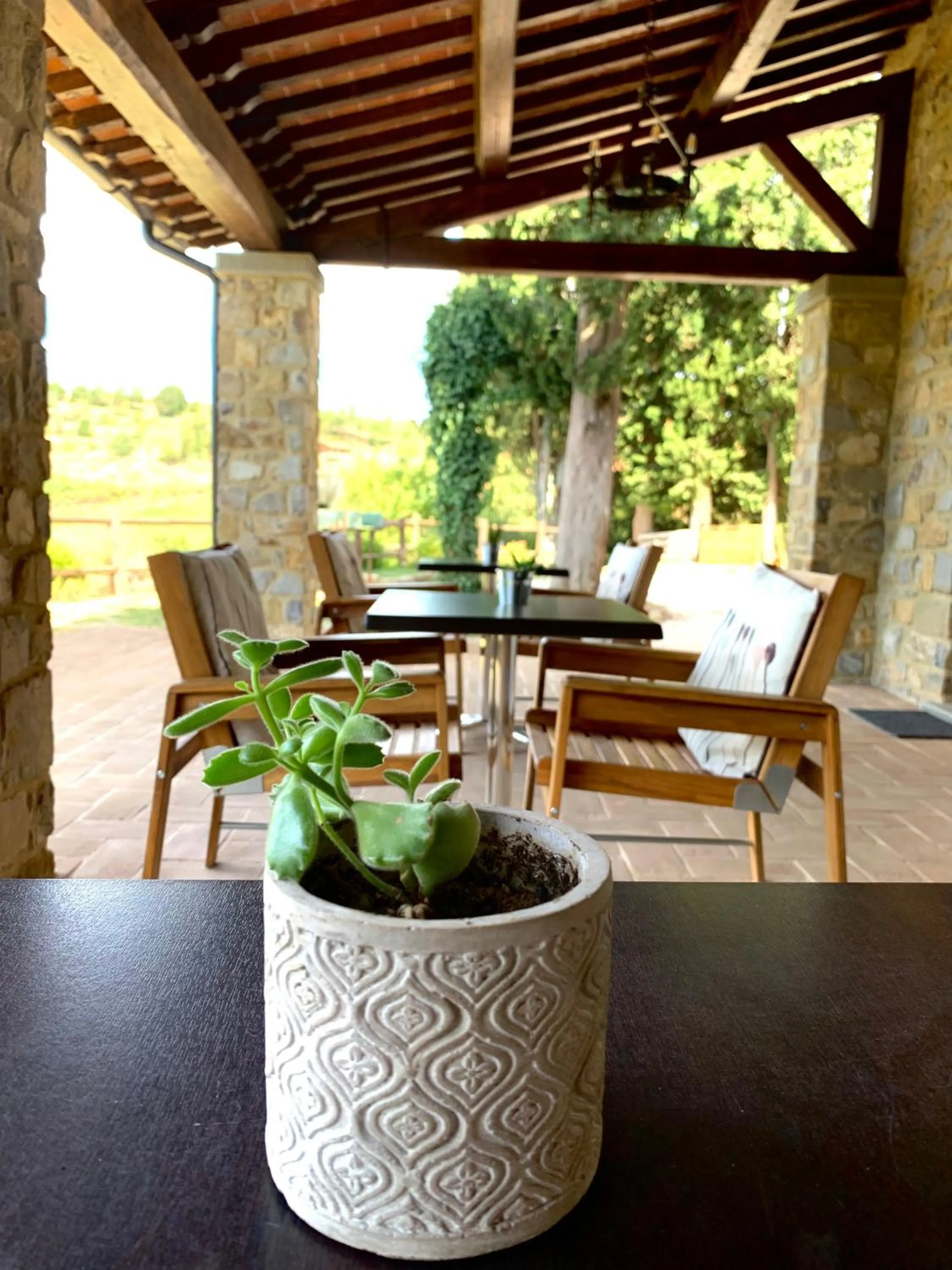 Garden in B&B Lavanda e Rosmarino