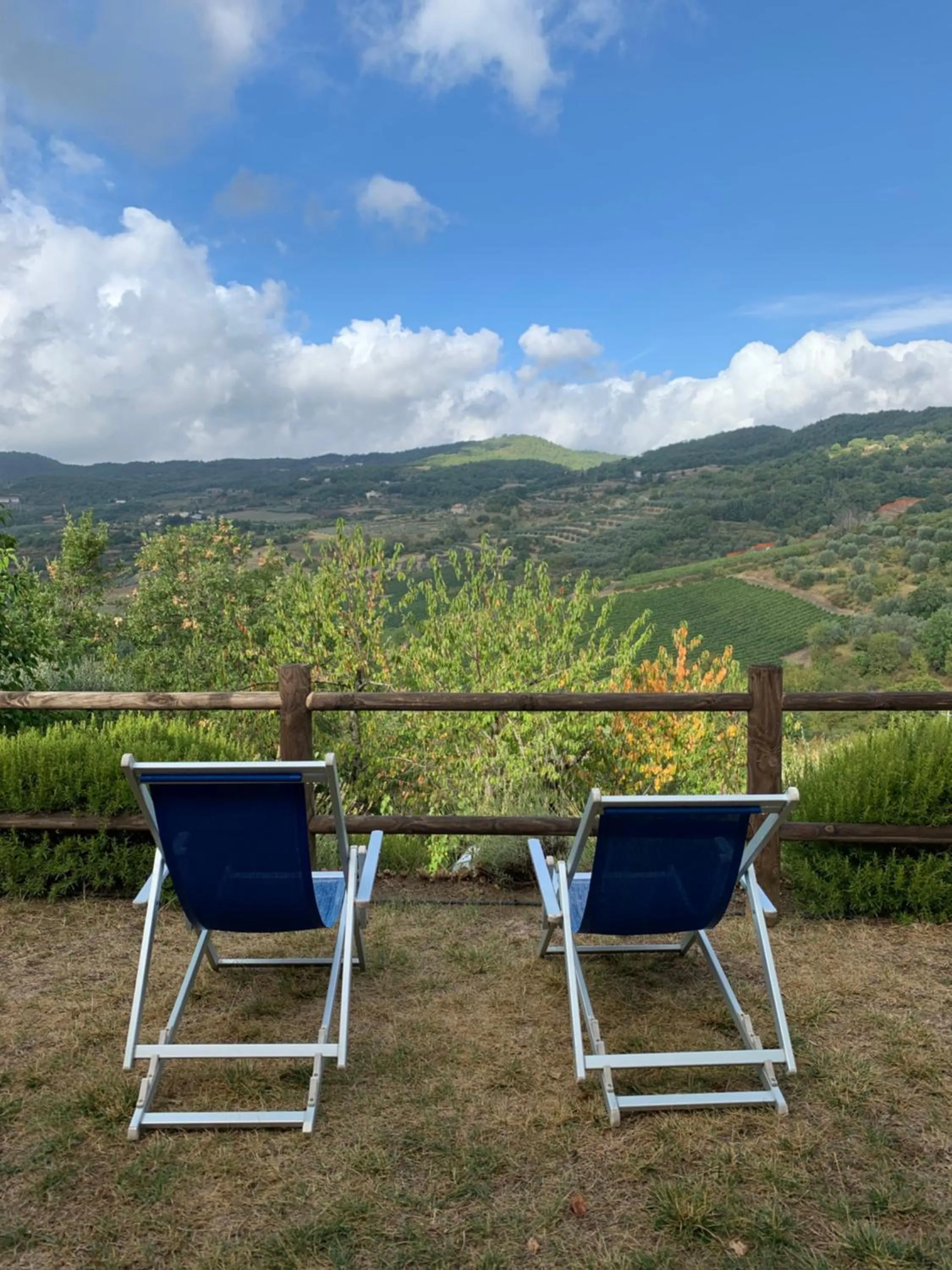 Garden in B&B Lavanda e Rosmarino