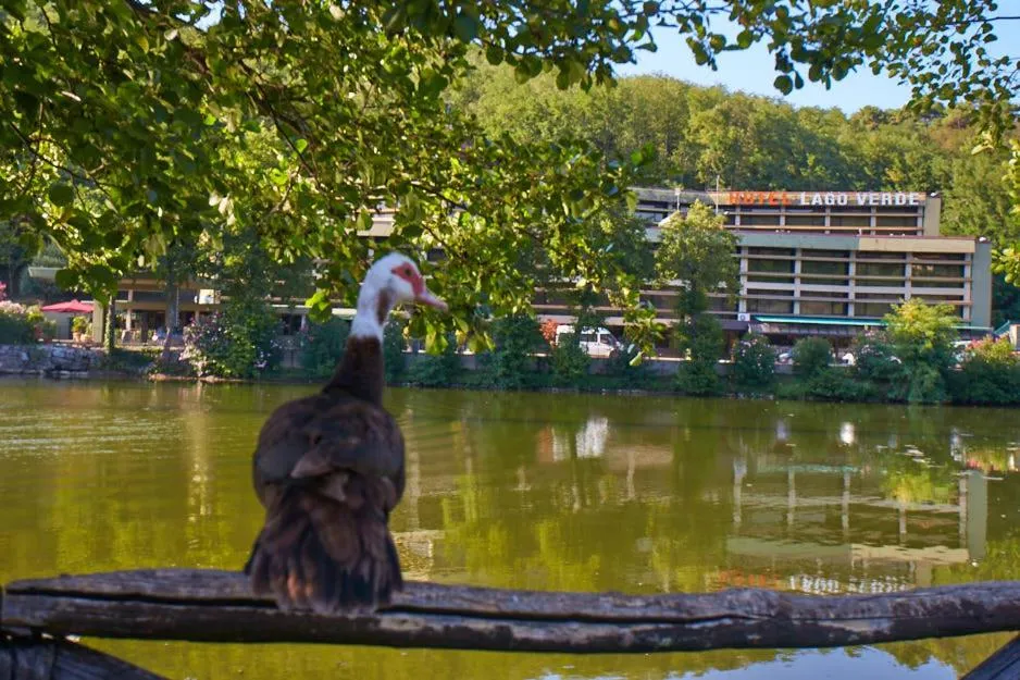 Hotel Lago Verde