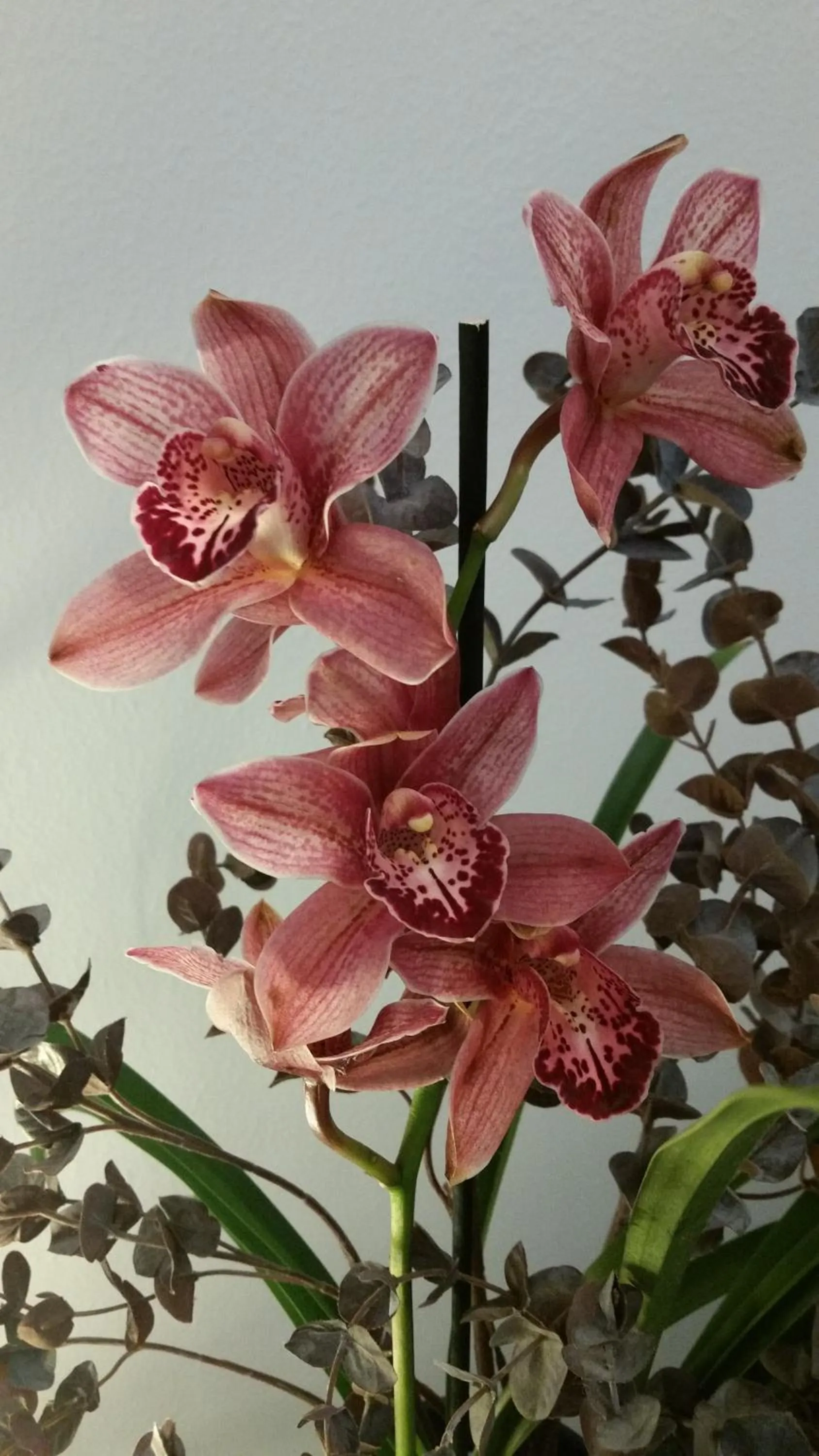 Decorative detail in La Maison Des Rêves