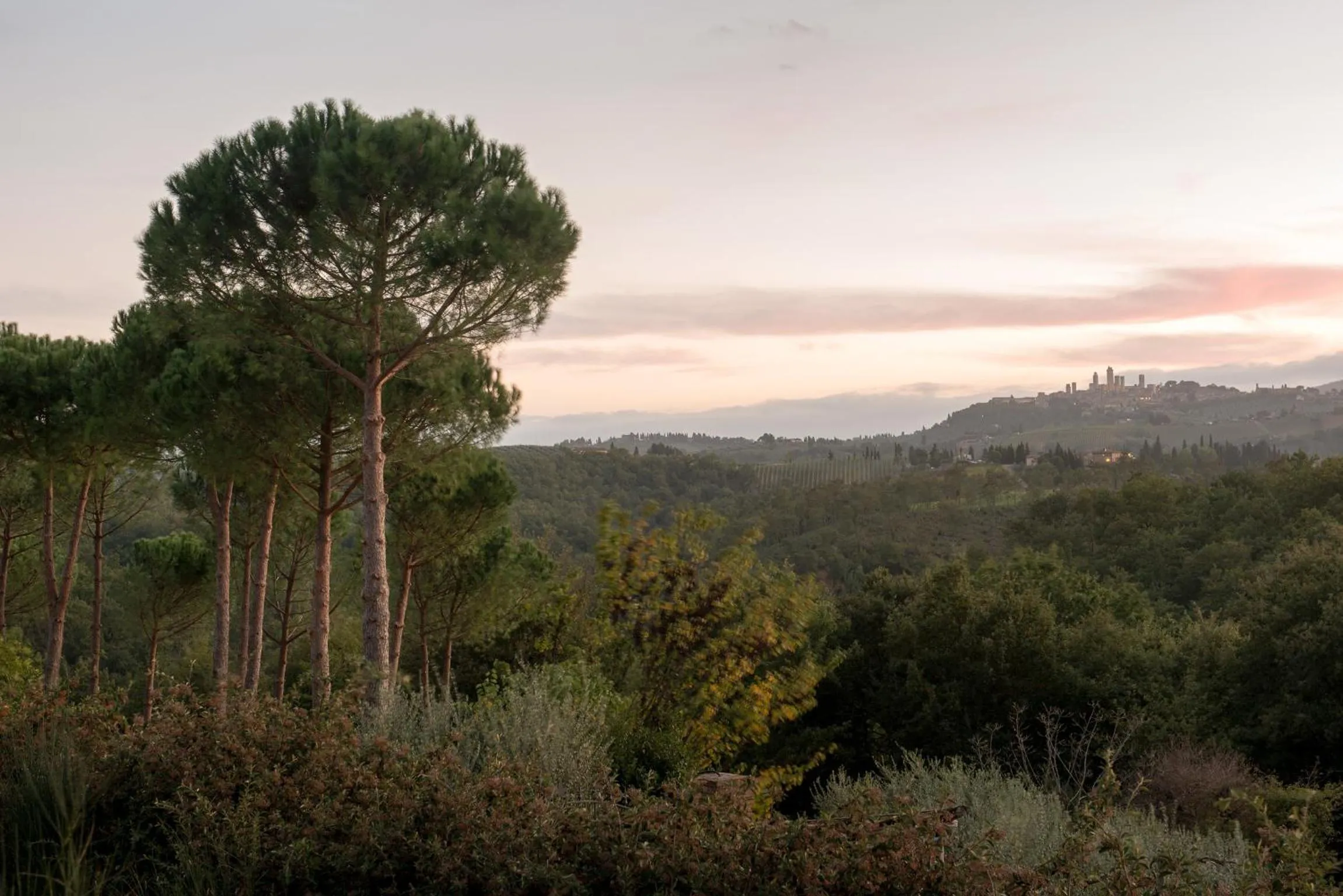 Natural landscape in Il Coltro