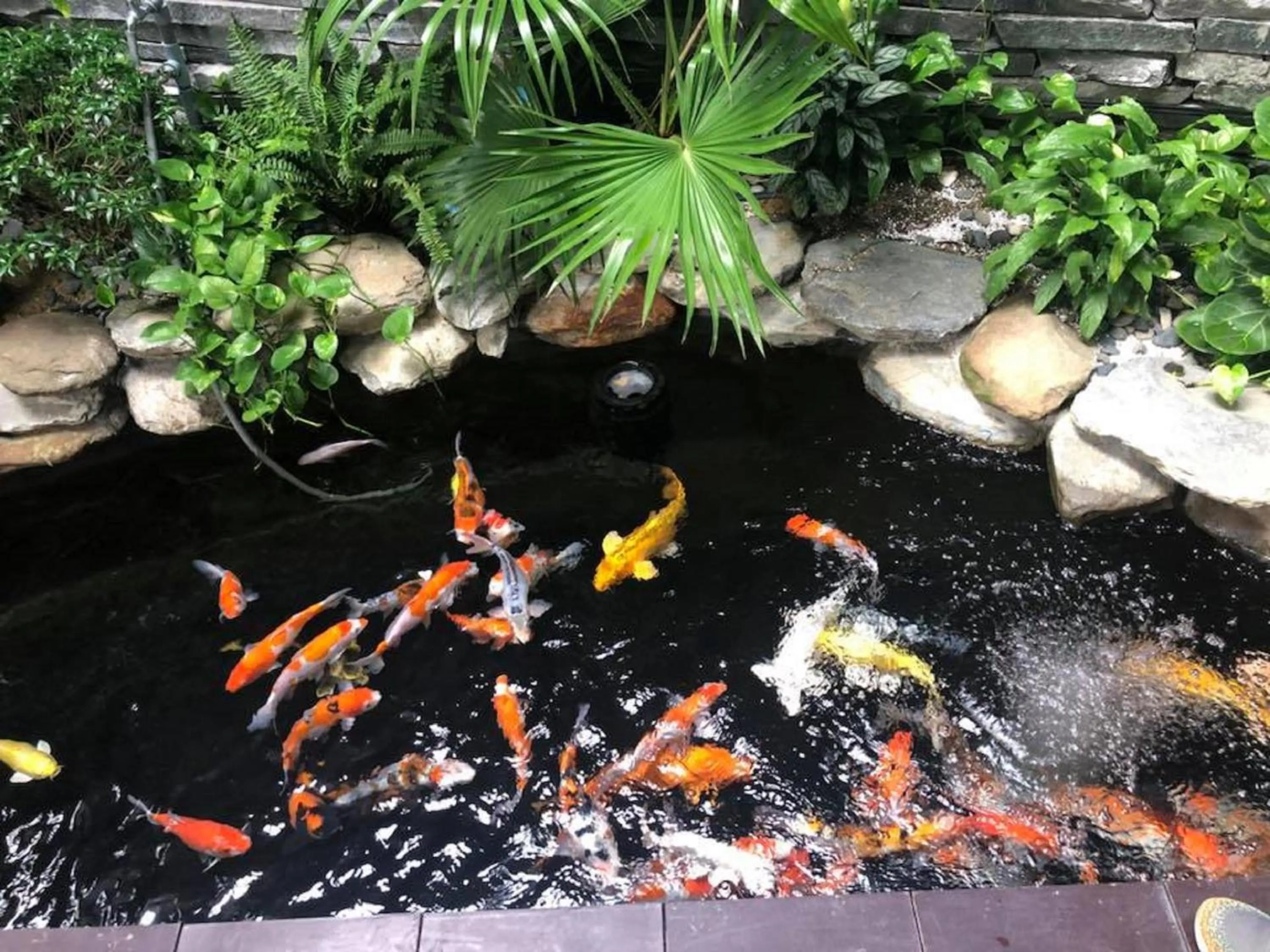 Garden in Cani Beach House