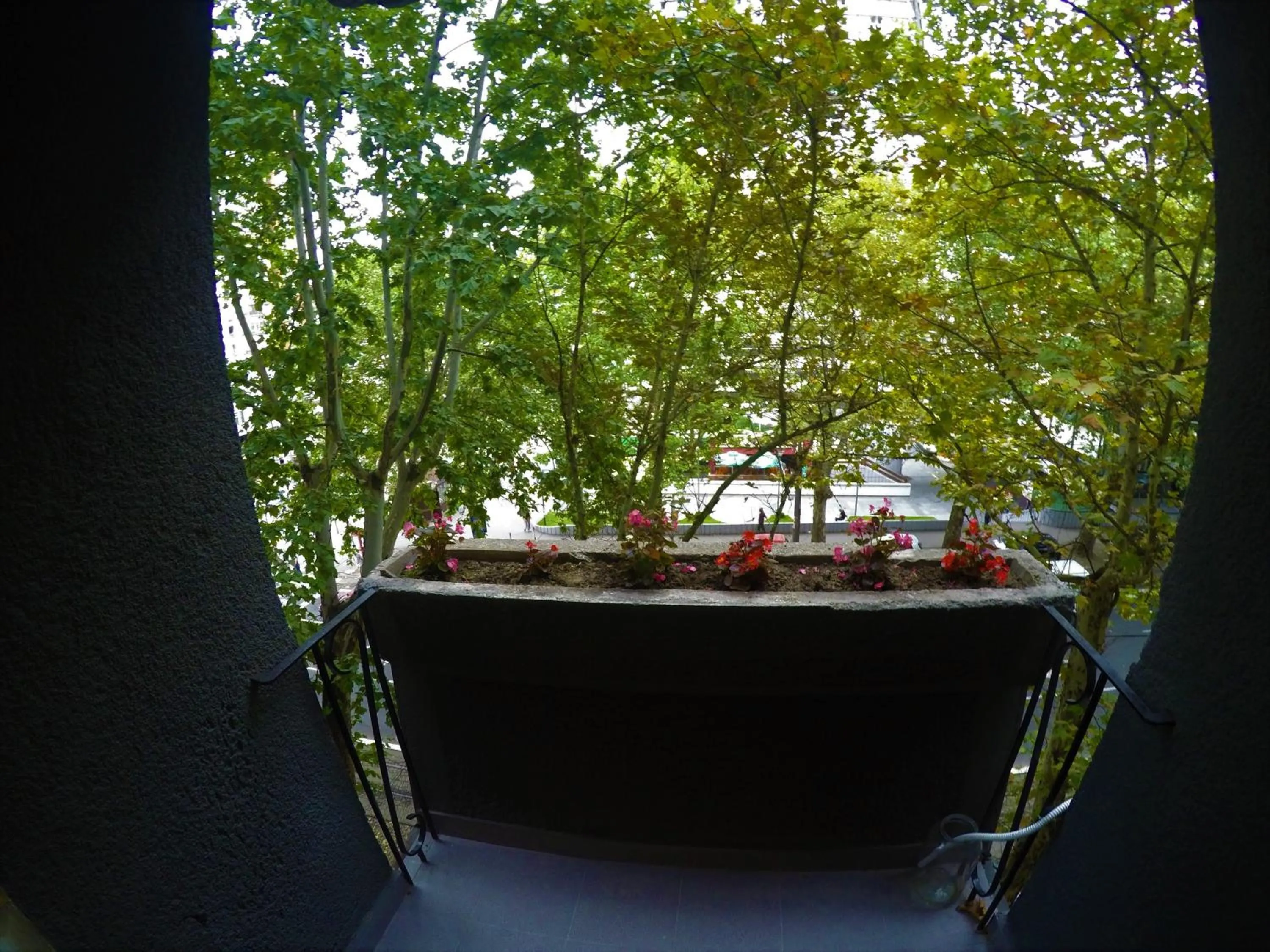 Apartman Centar Tas