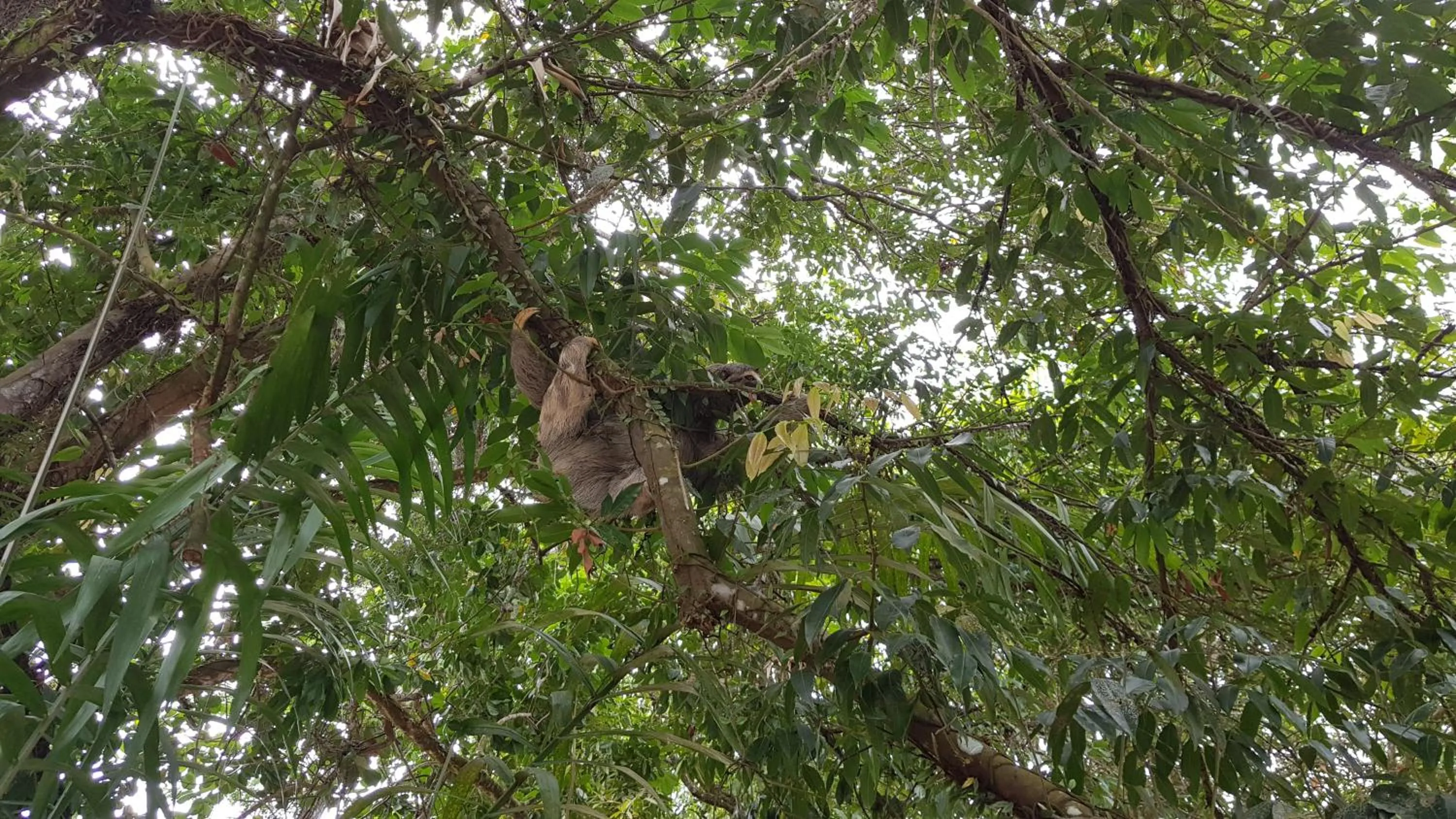 Natural landscape in Pousada Bucaneiros