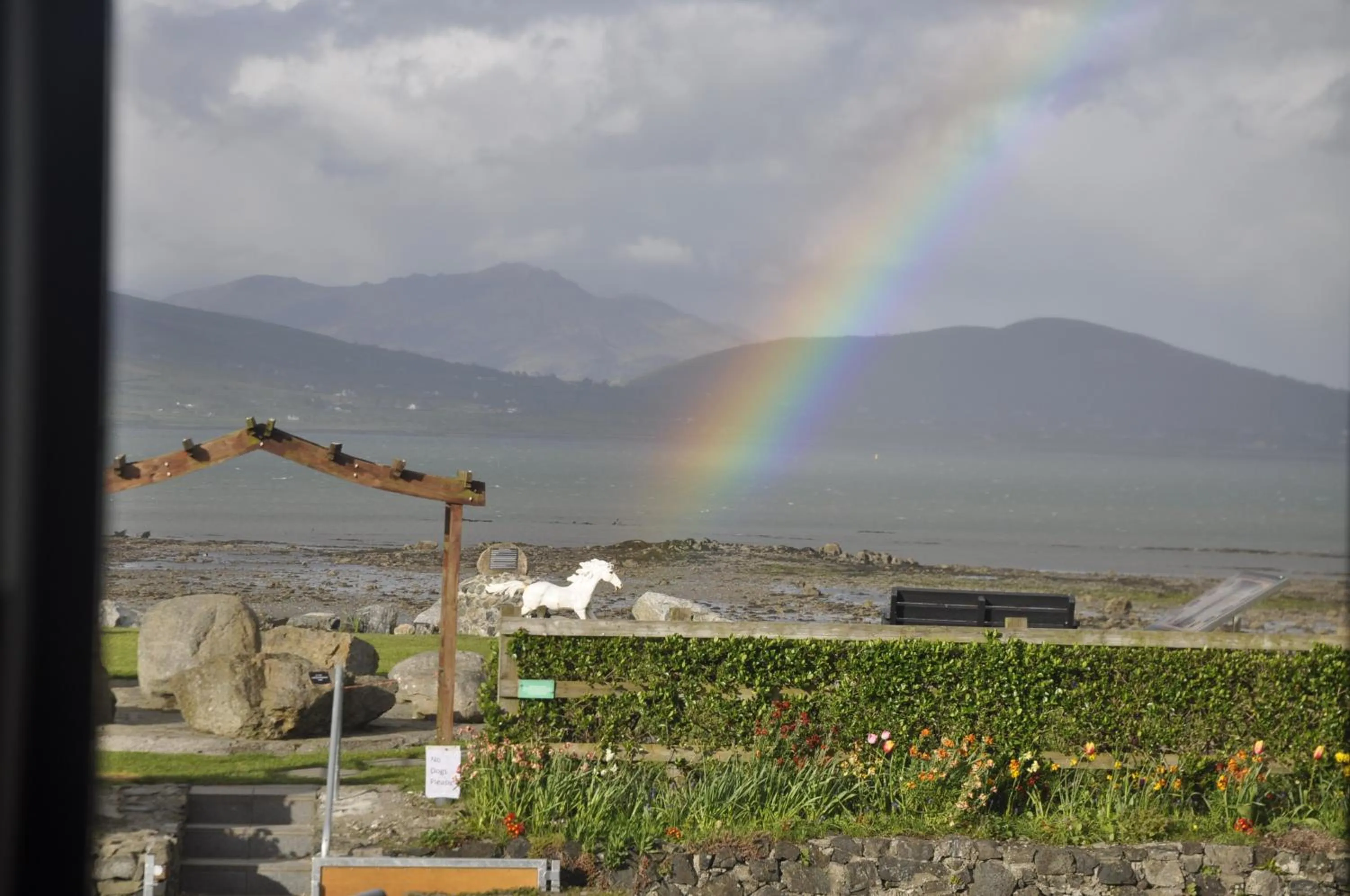 Property building in Shalom