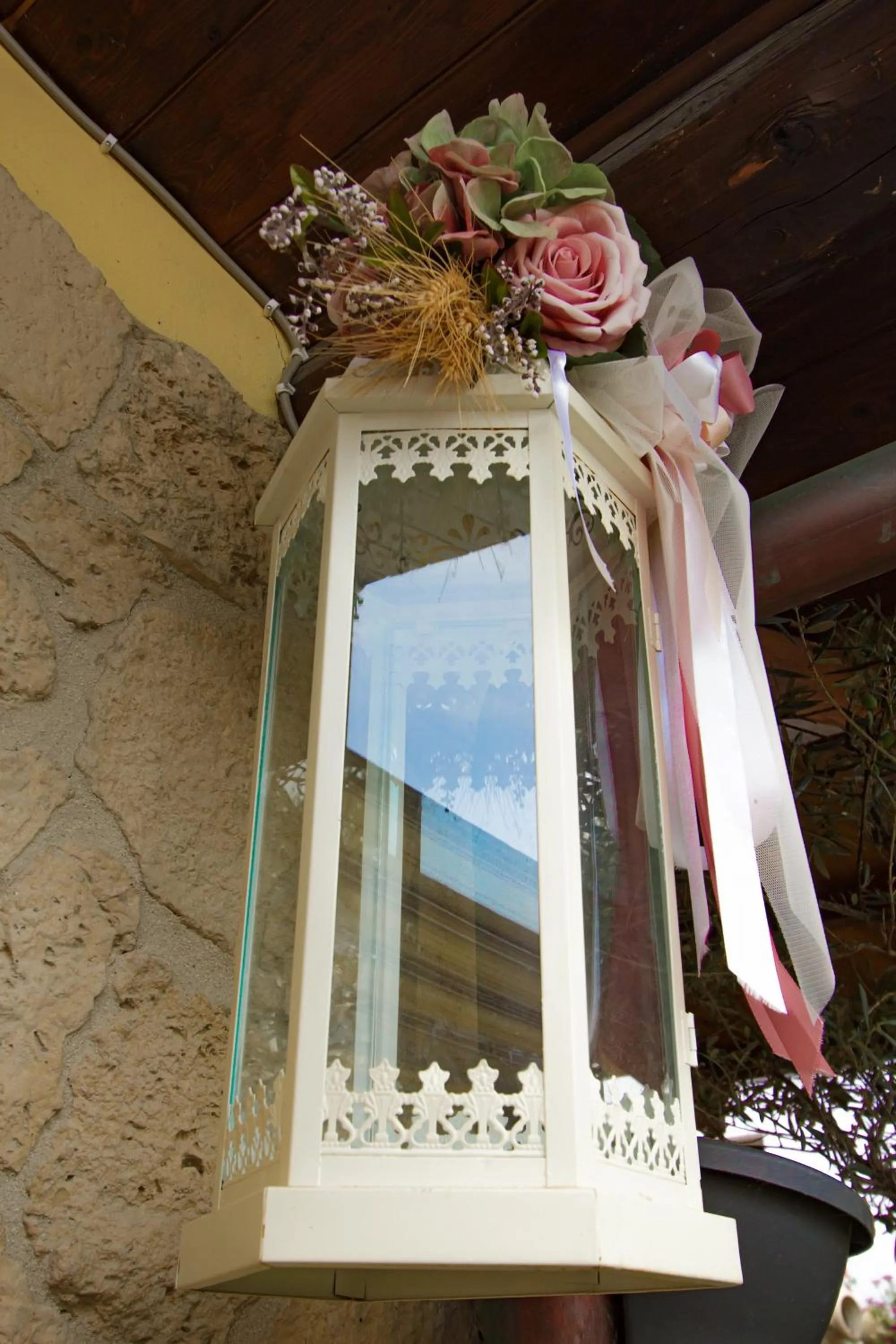 Garden view in Eden Lilli B&B