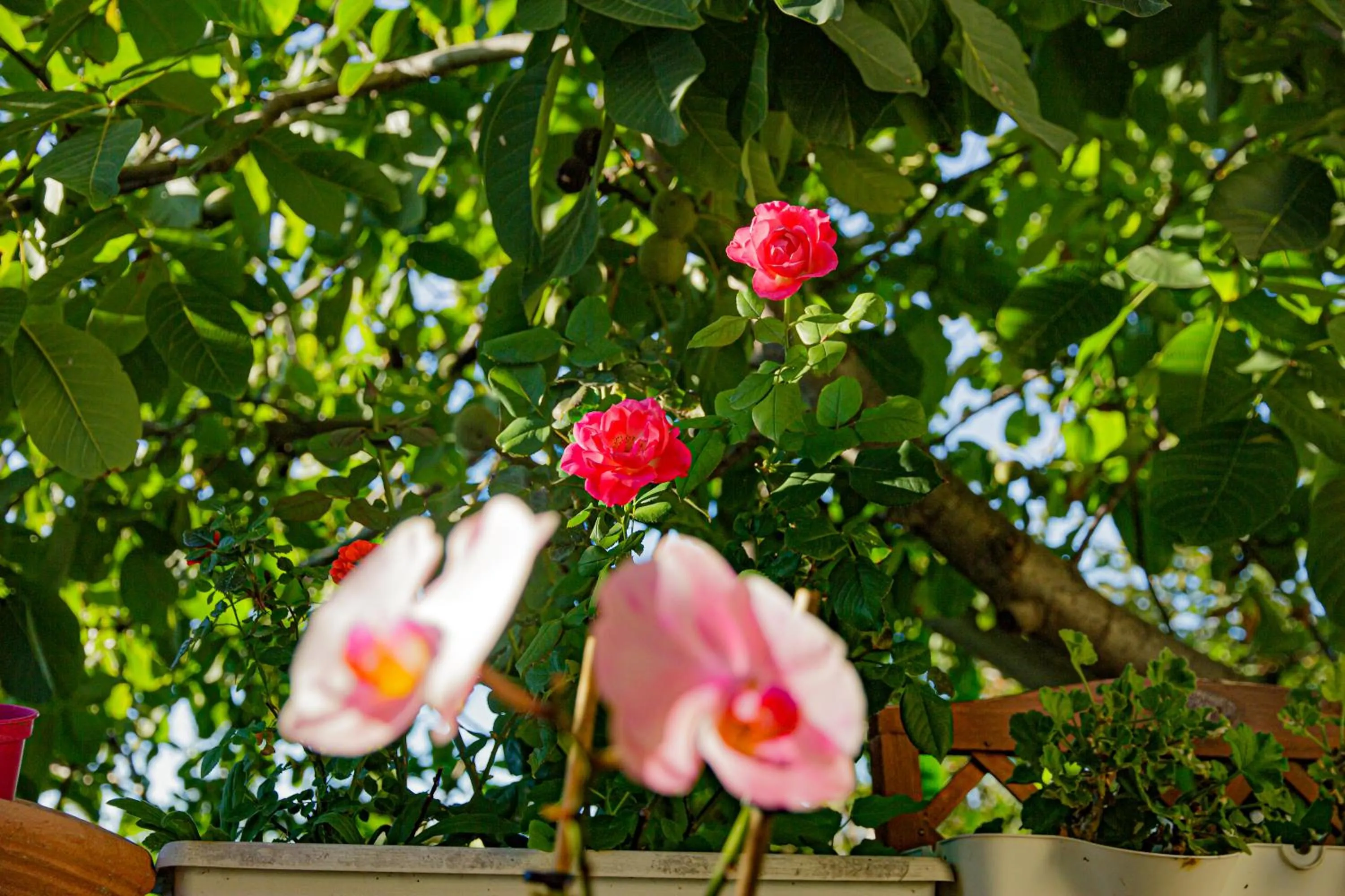 Day in Eden Lilli B&B