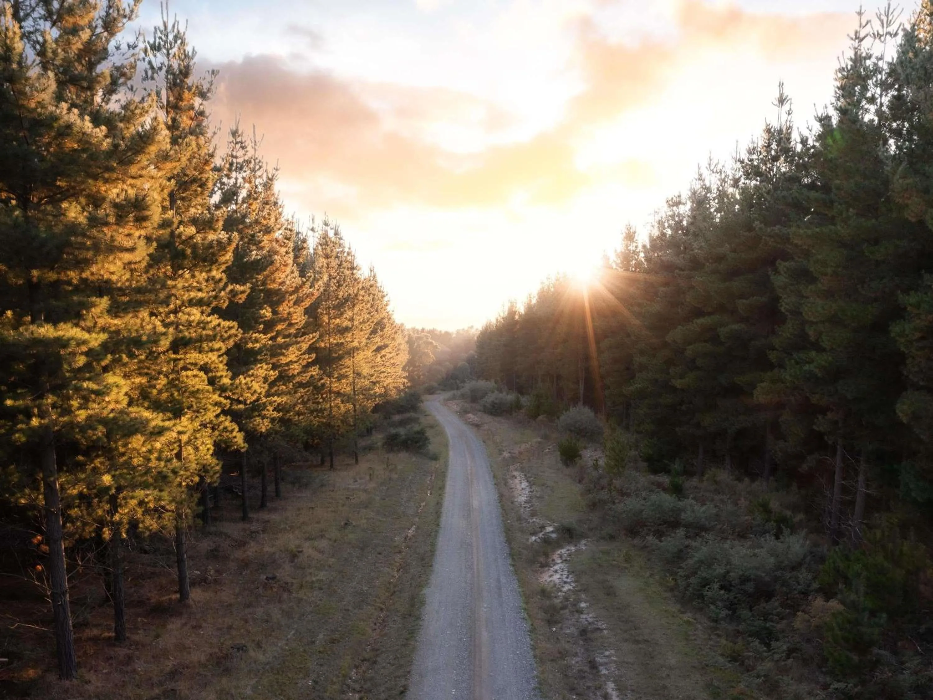 Property building in The Sebel Creswick Forest Resort