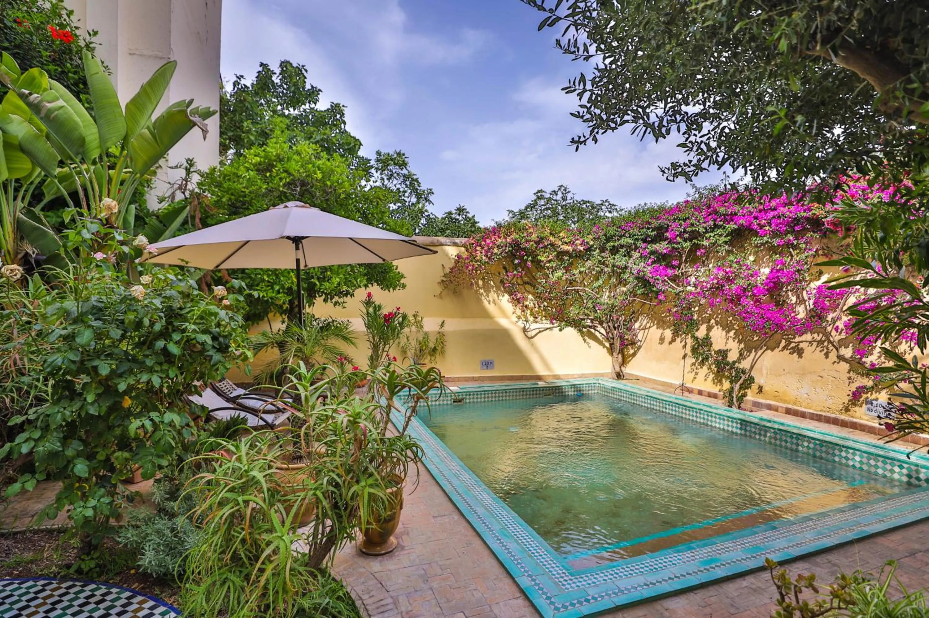 Swimming pool in Ryad Mabrouka