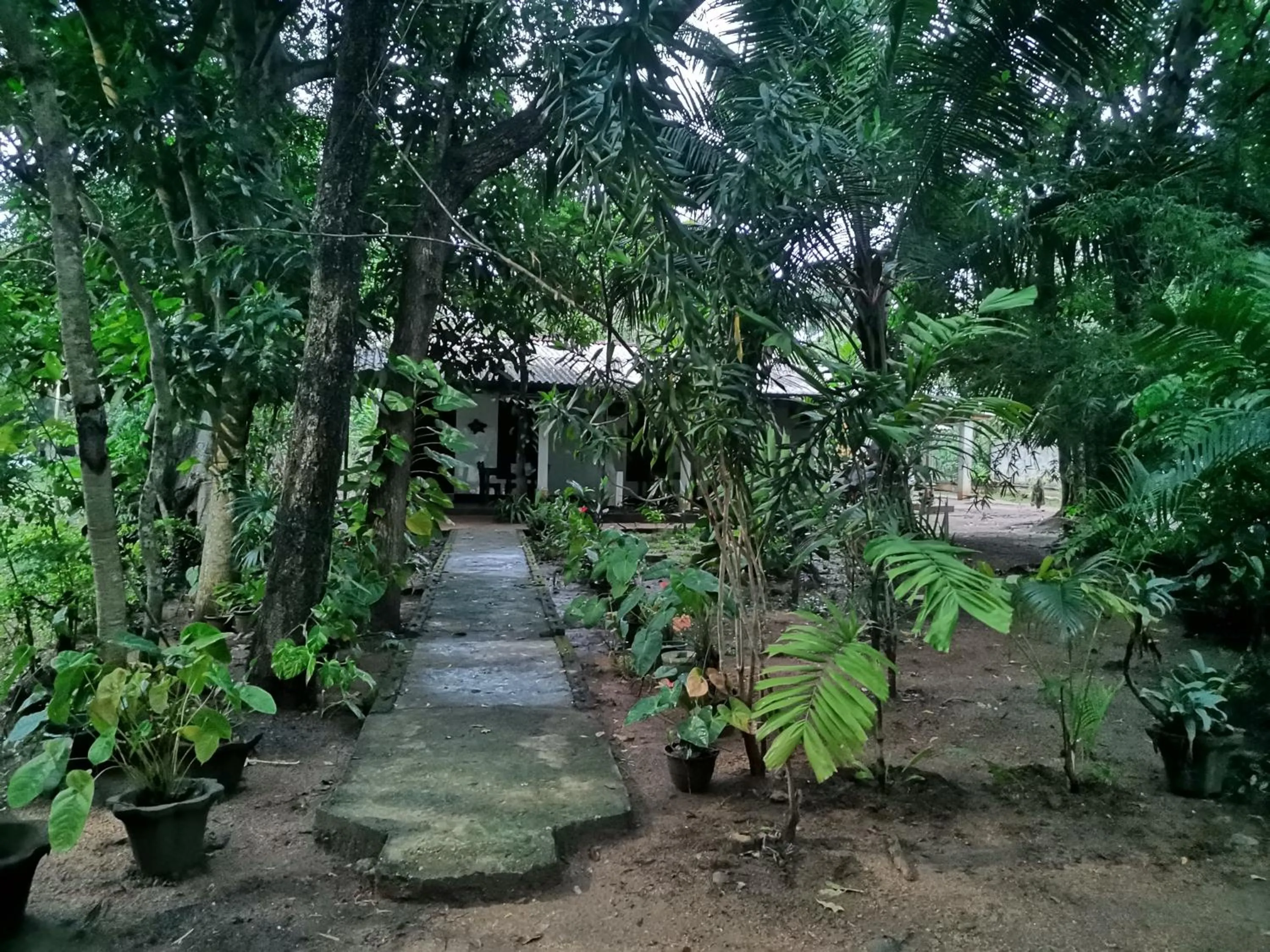 Garden view in Sigiri Mango Garden Eco Resort