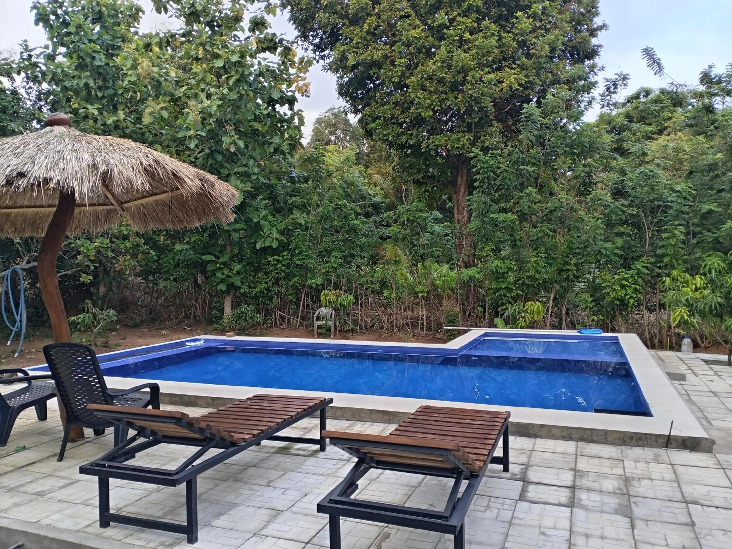 Sigiri Mango Garden Eco Resort