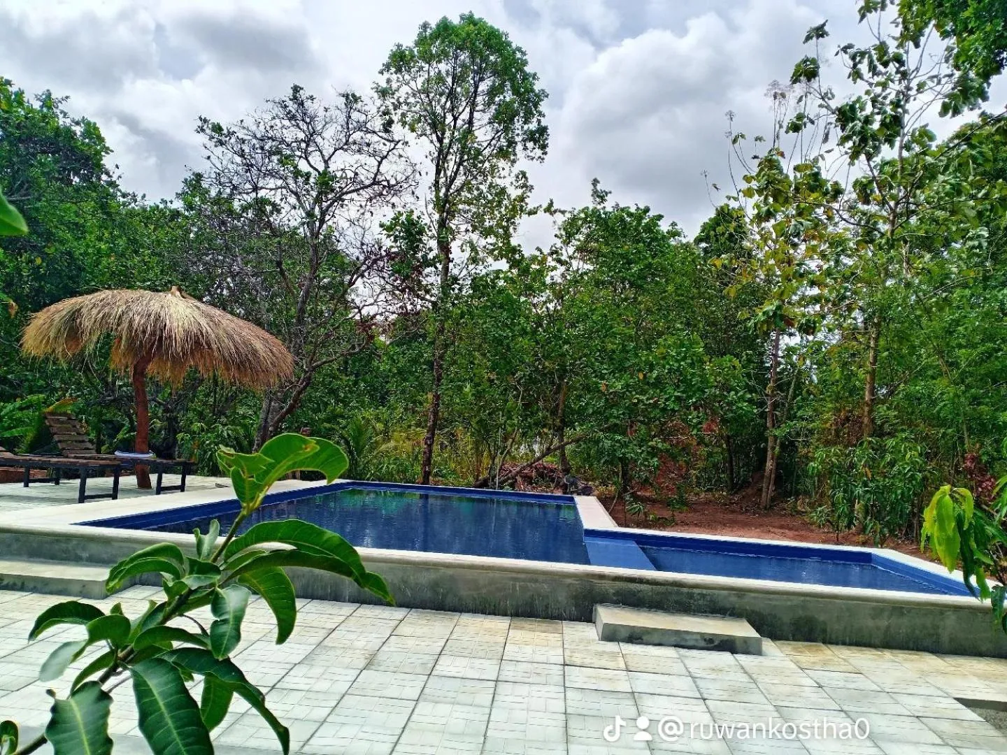 Pool view in Sigiri Mango Garden Eco Resort