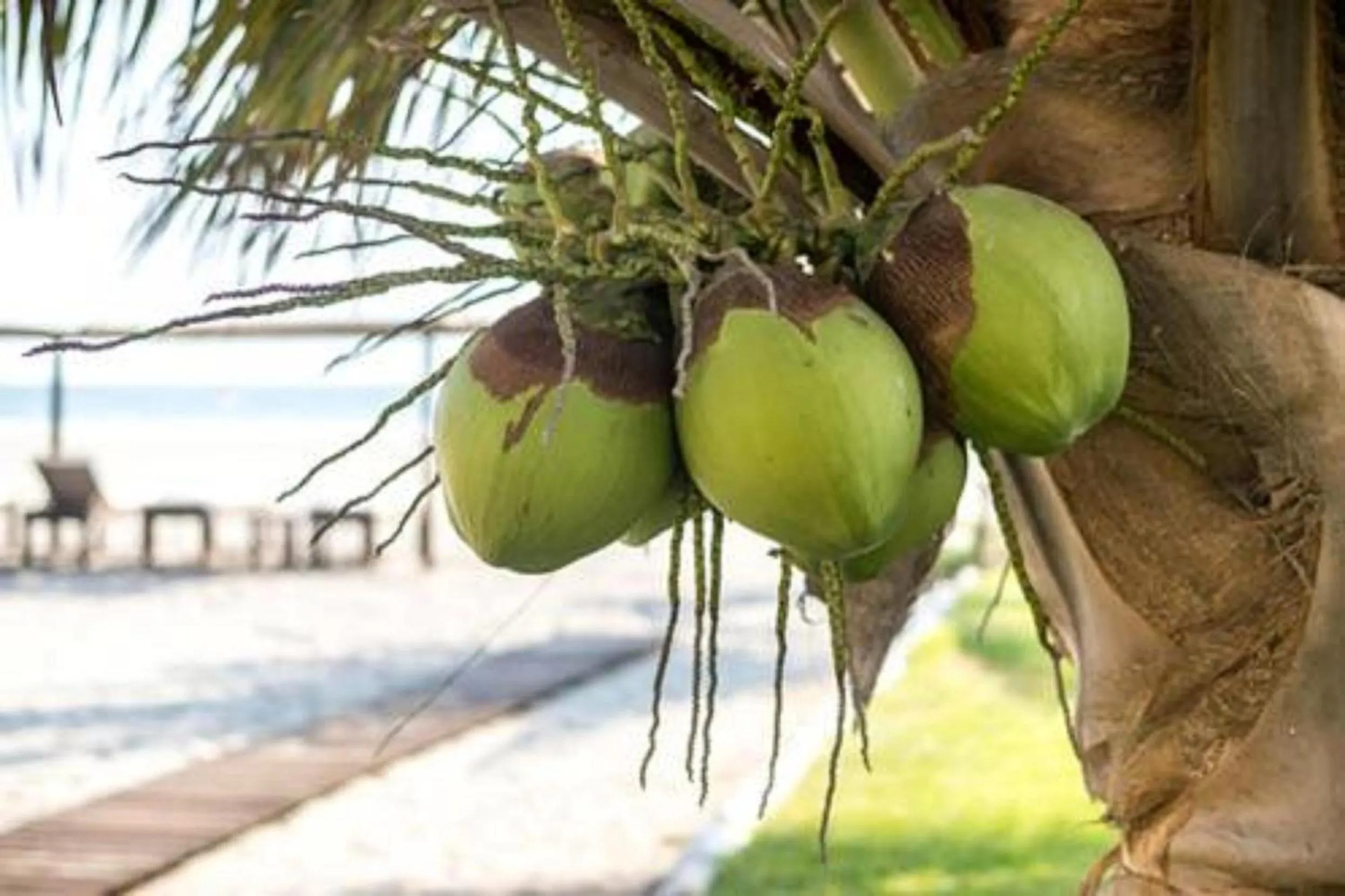 Sea view in Hotel Blater